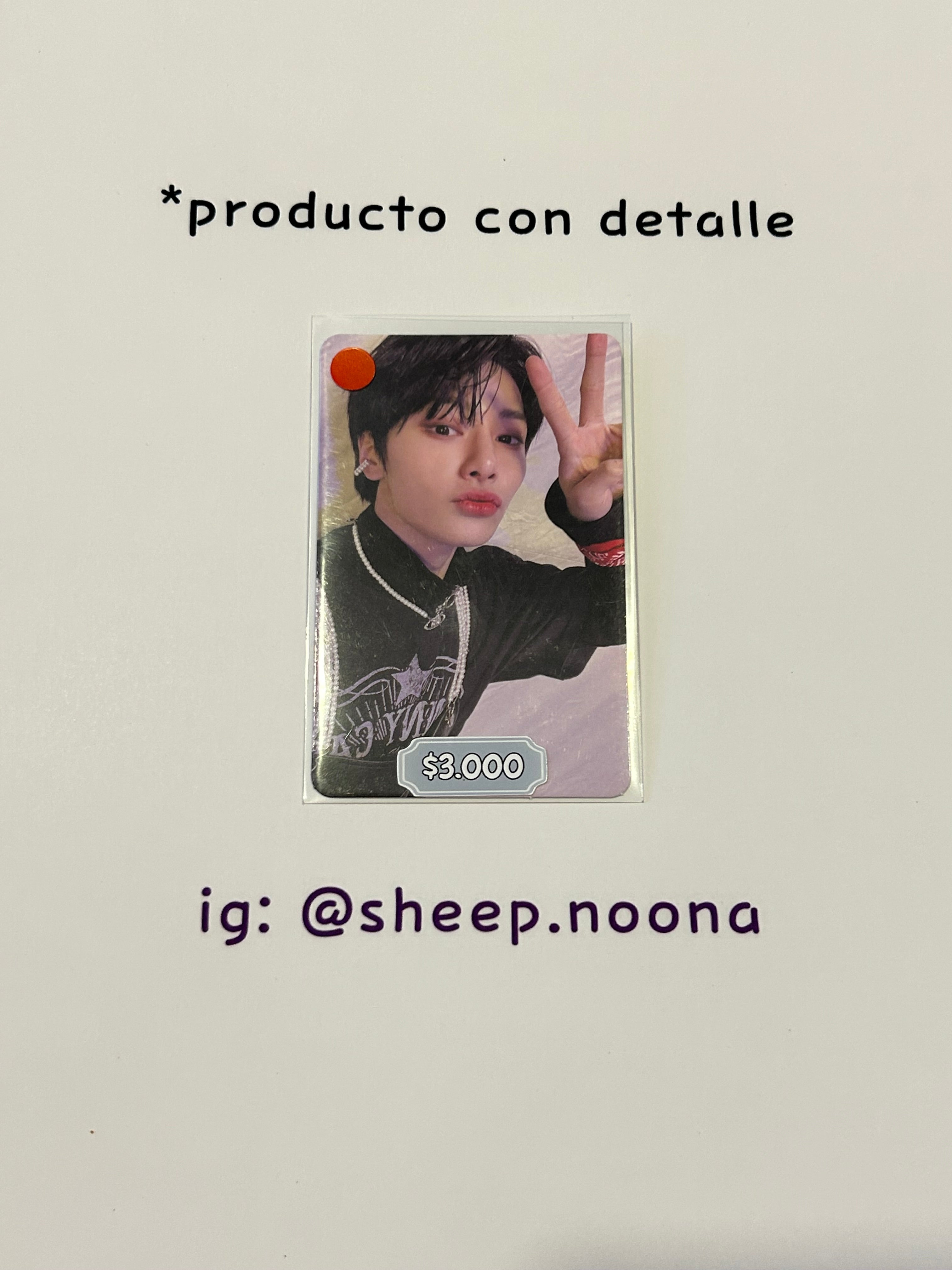 Photocards I.N. SKZ