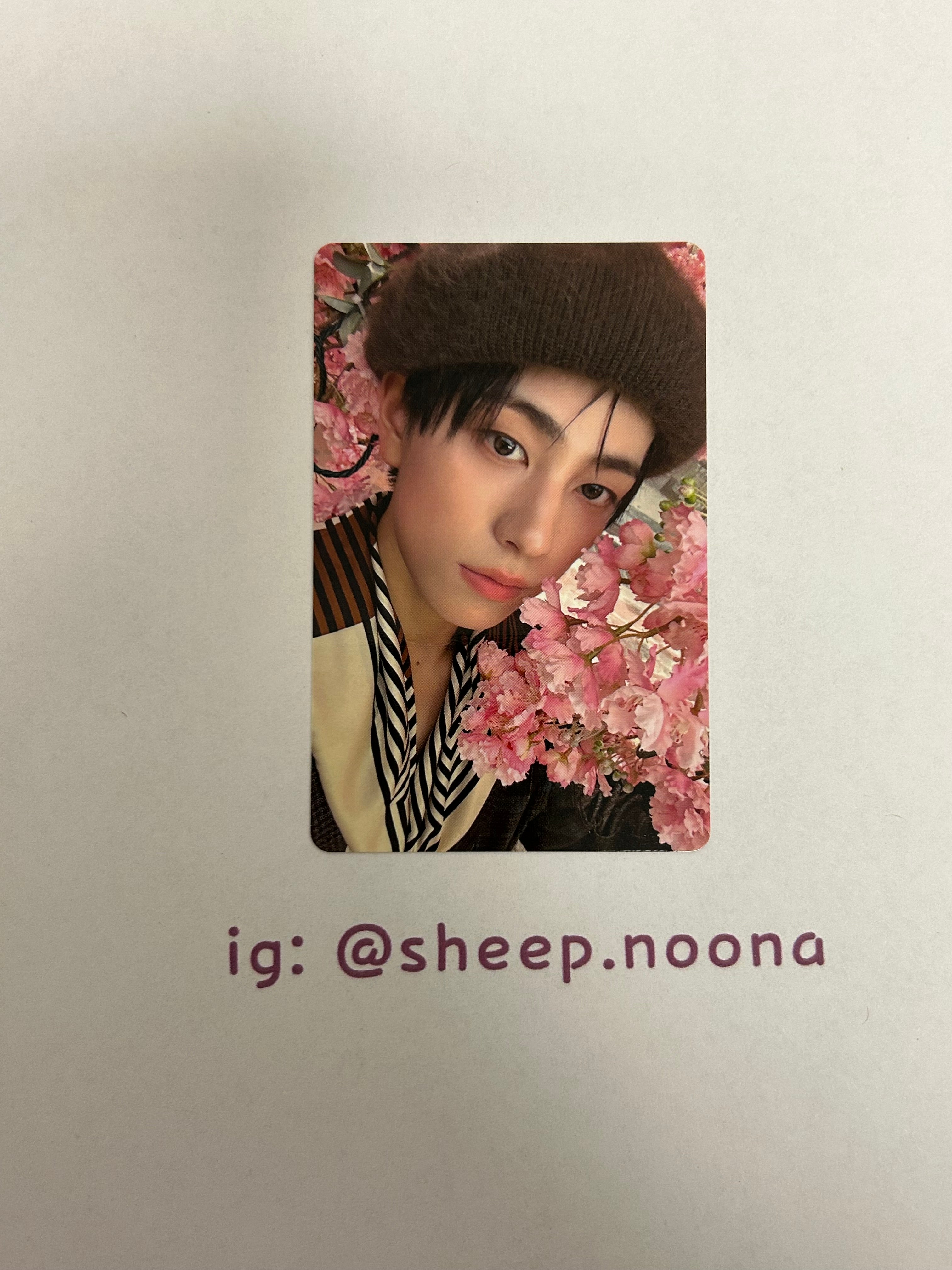 Photocards &team