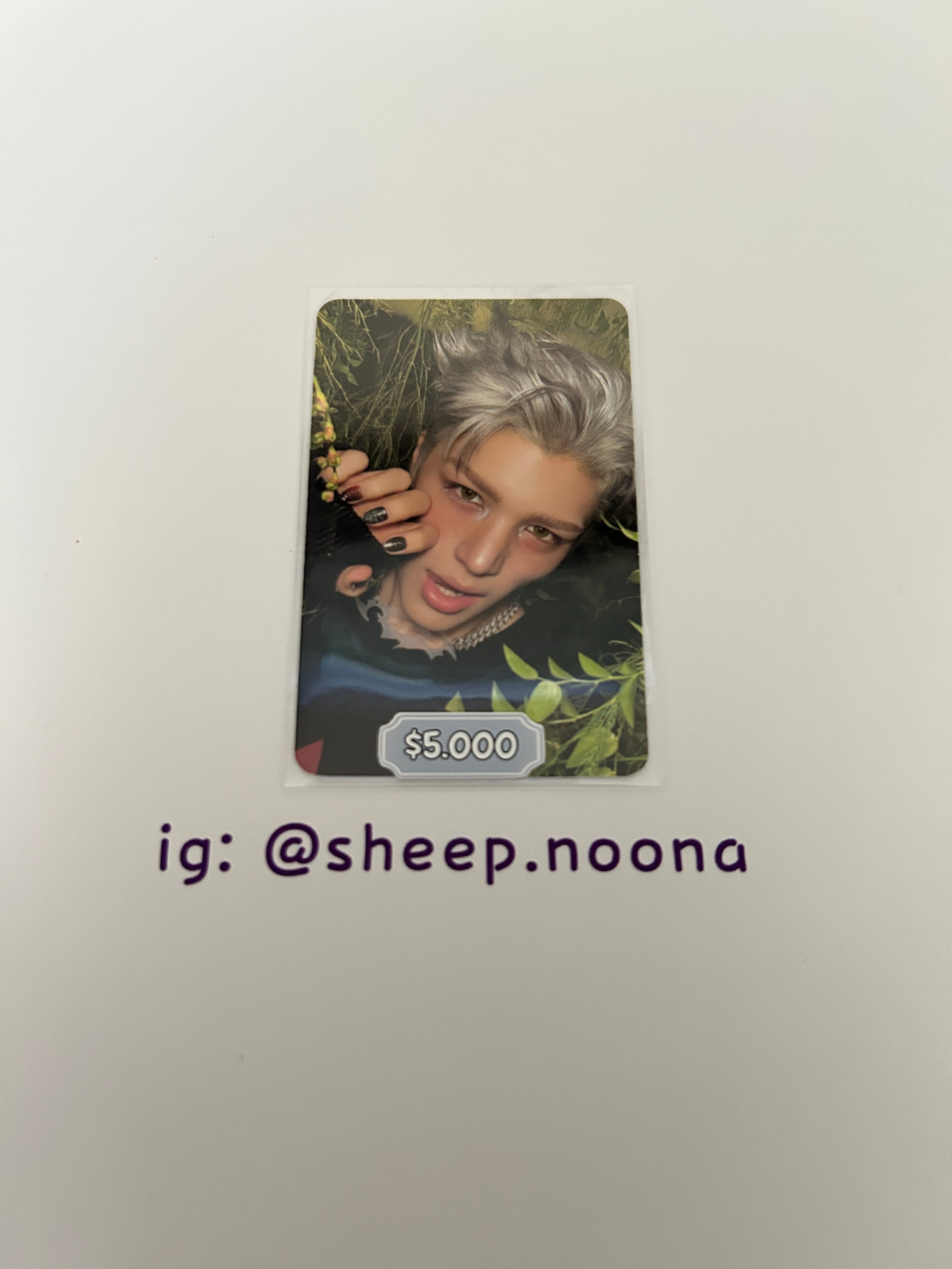 Photocards &team