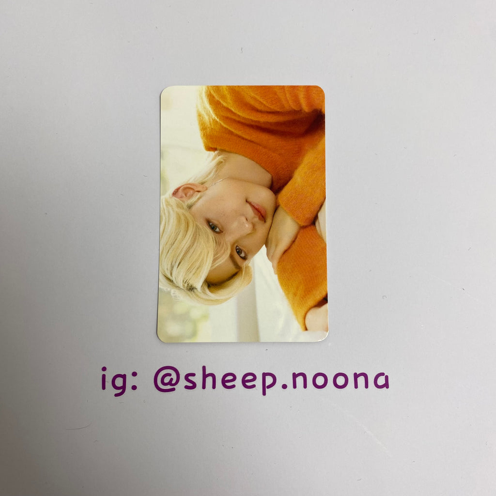 Photocards Felix SKZ