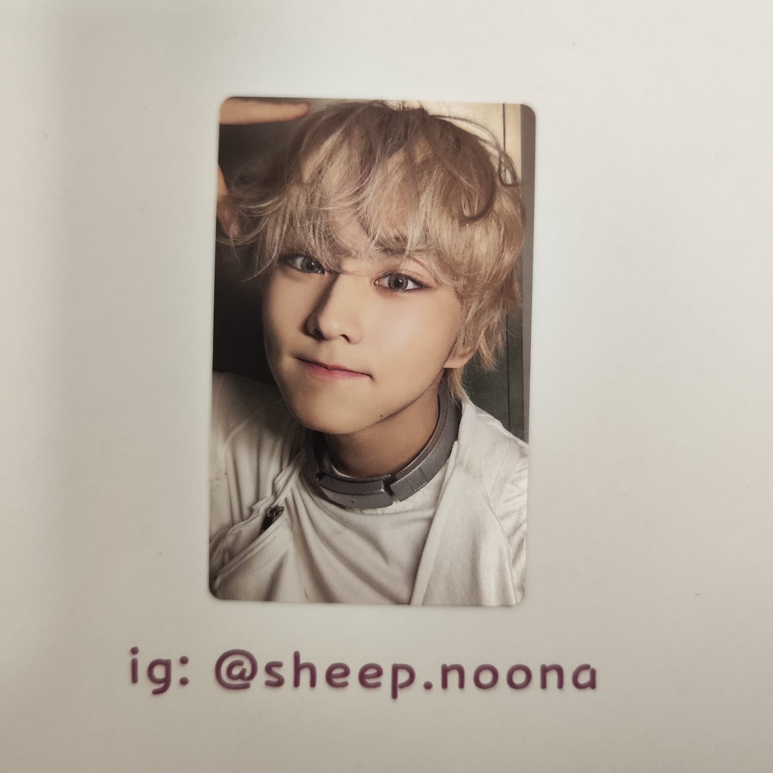 Photocards Jungwon Enhypen