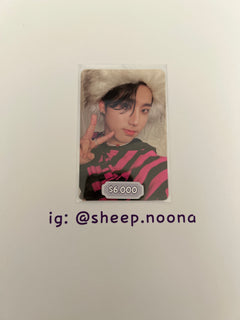Photocards Han SKZ