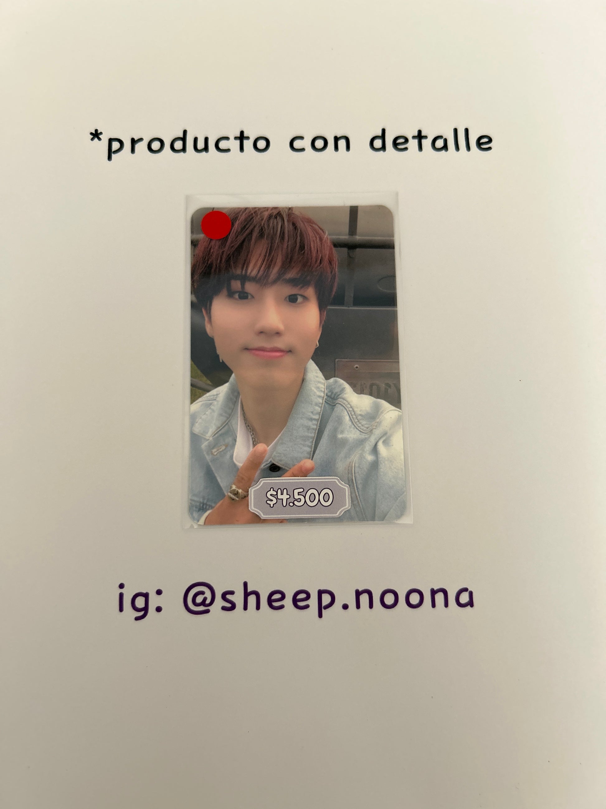 Photocards Han SKZ
