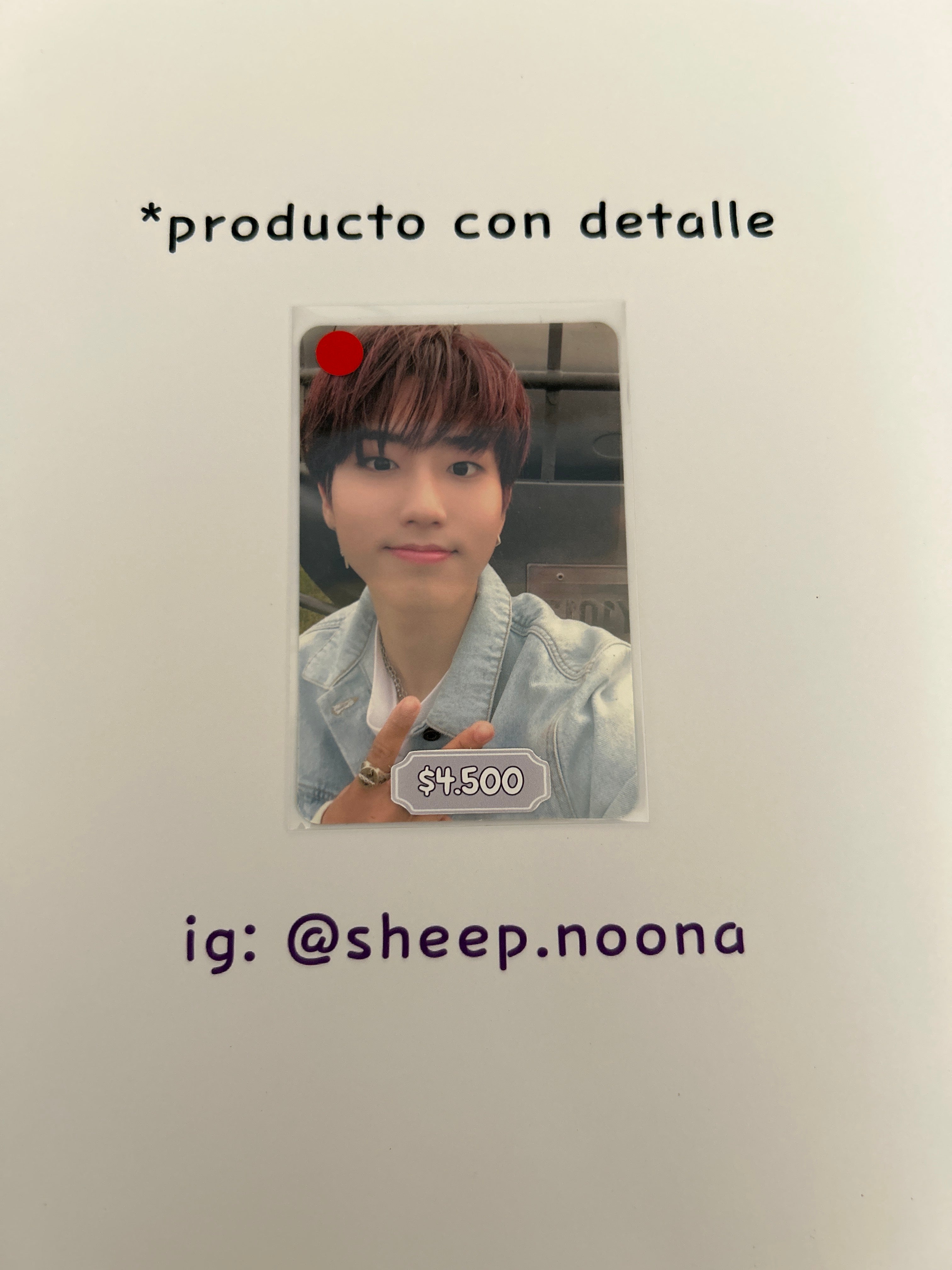 Photocards Han SKZ
