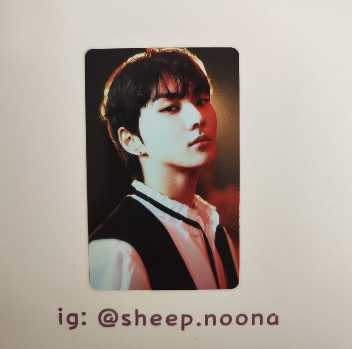 Photocards Jungwon Enhypen