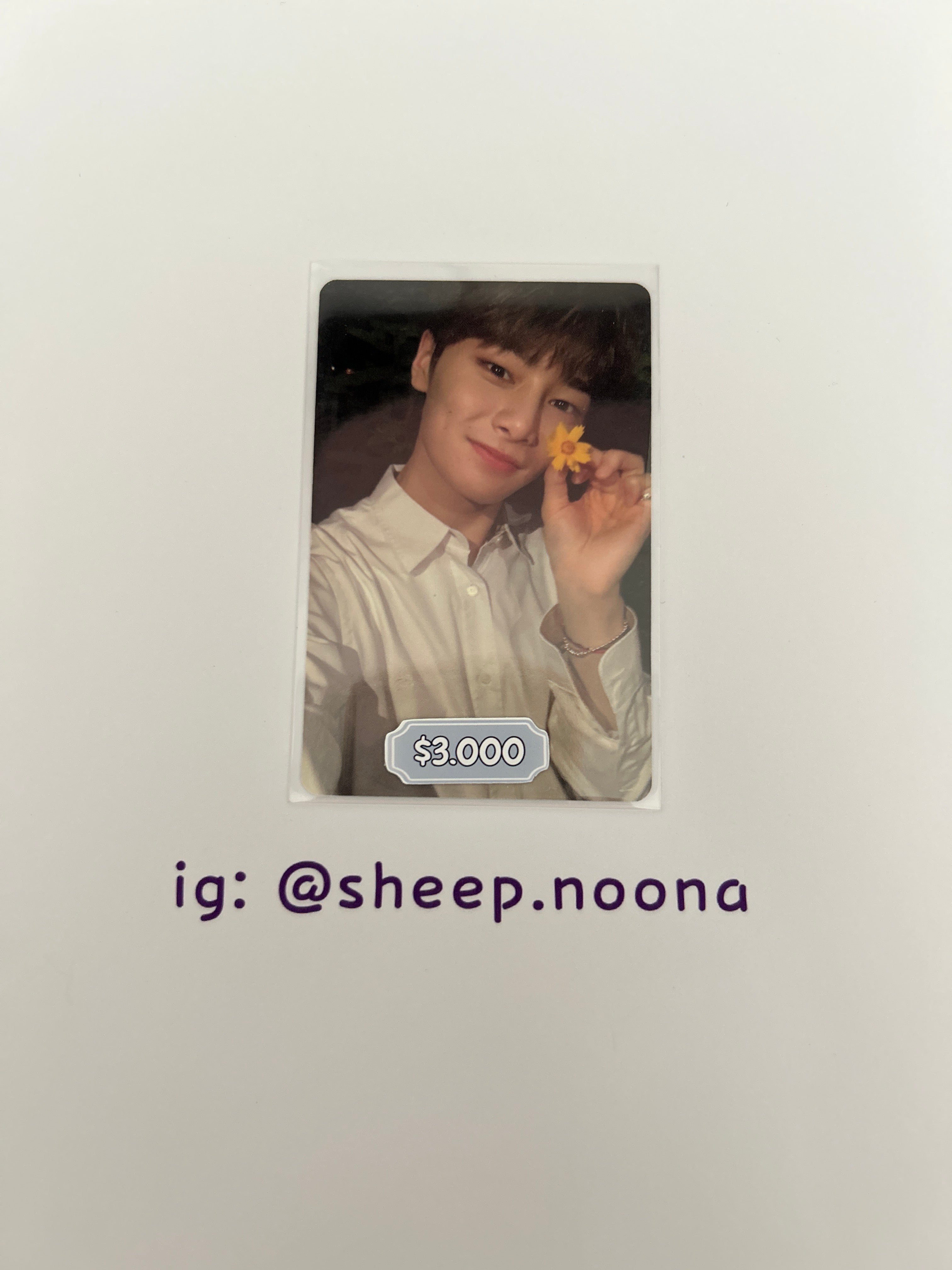 Photocards I.N. SKZ