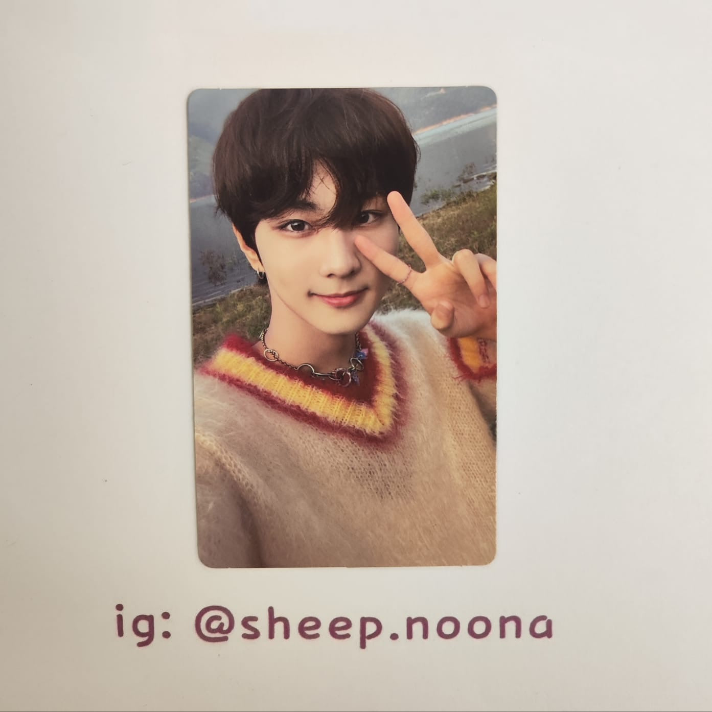 Photocards Jungwon Enhypen