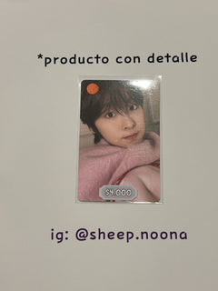 Photocards NCT WISH