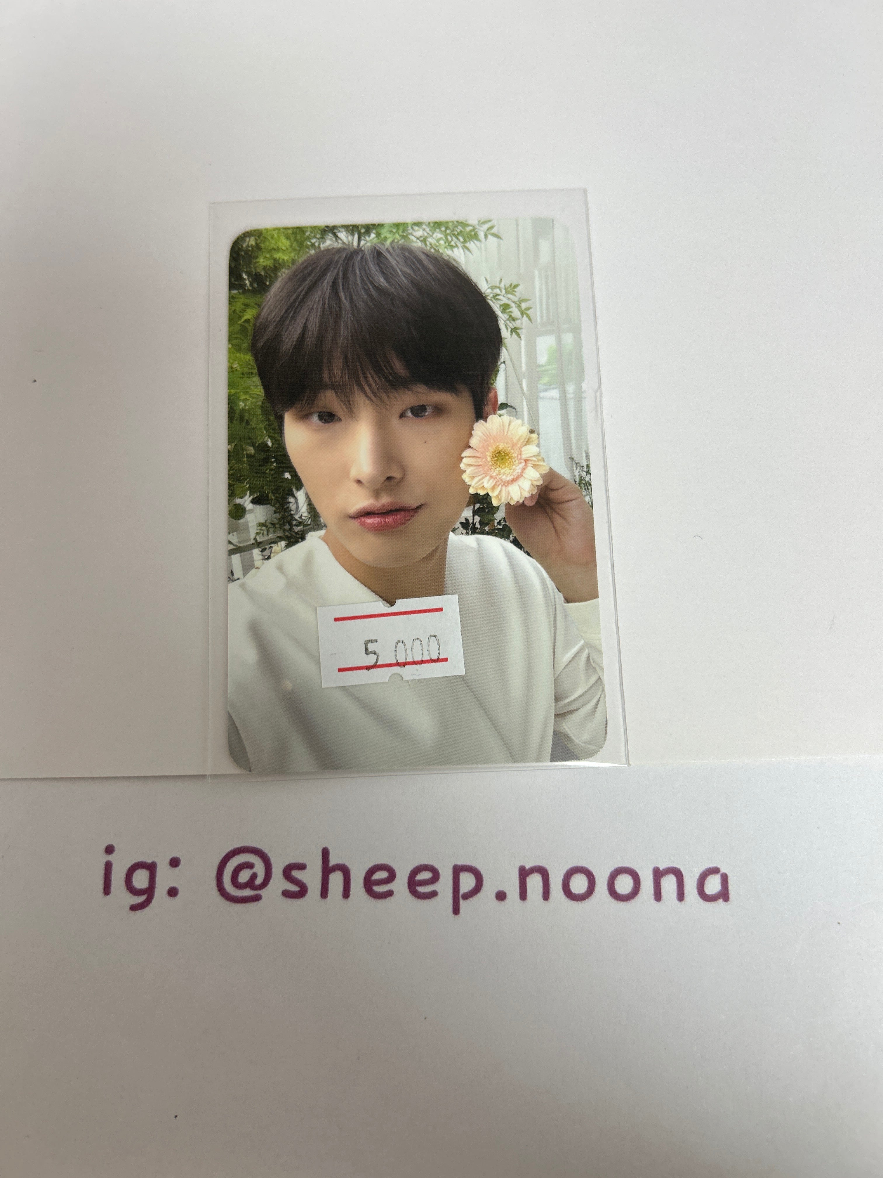 Photocards Mingi Ateez