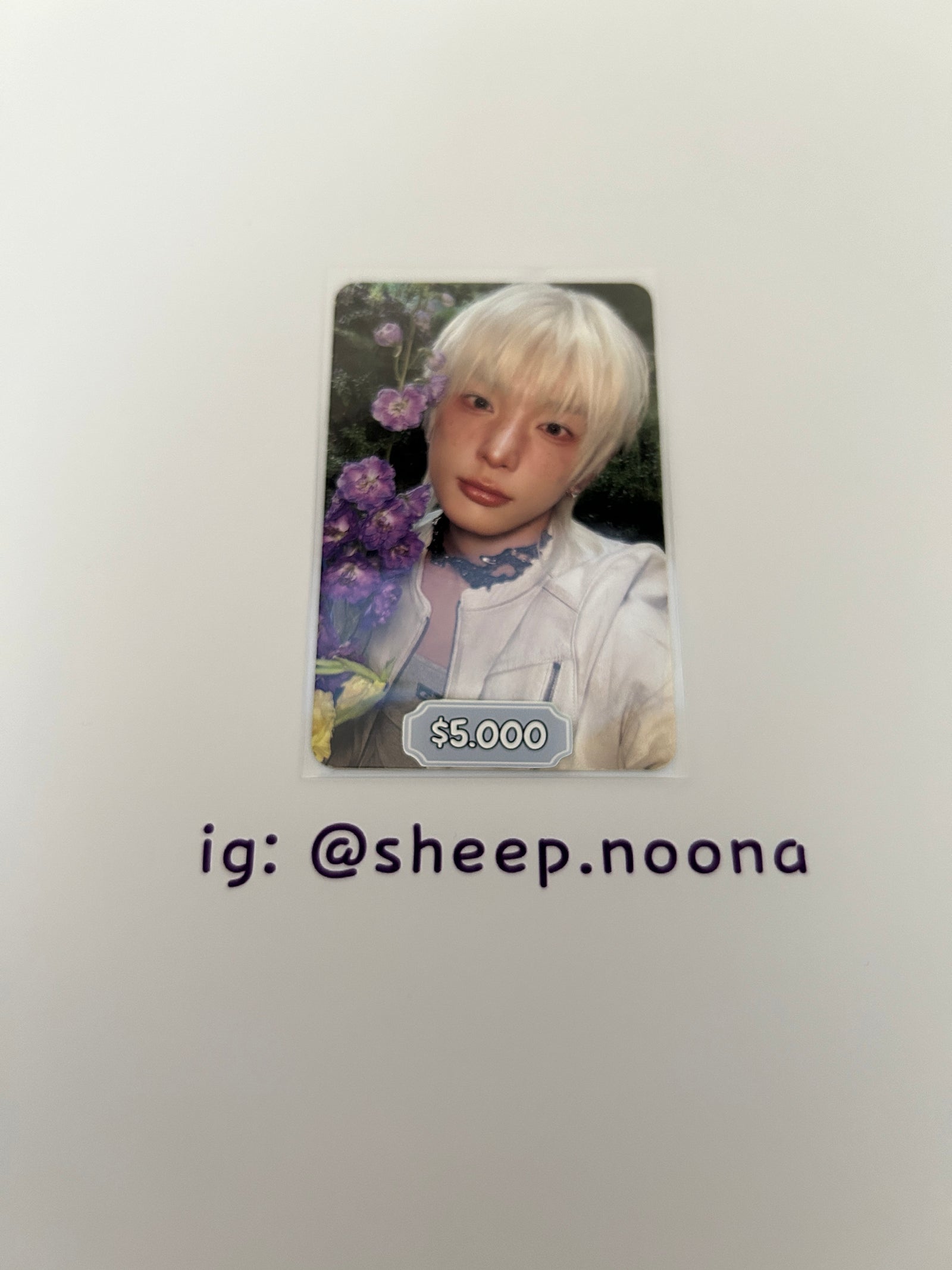 Photocards &team