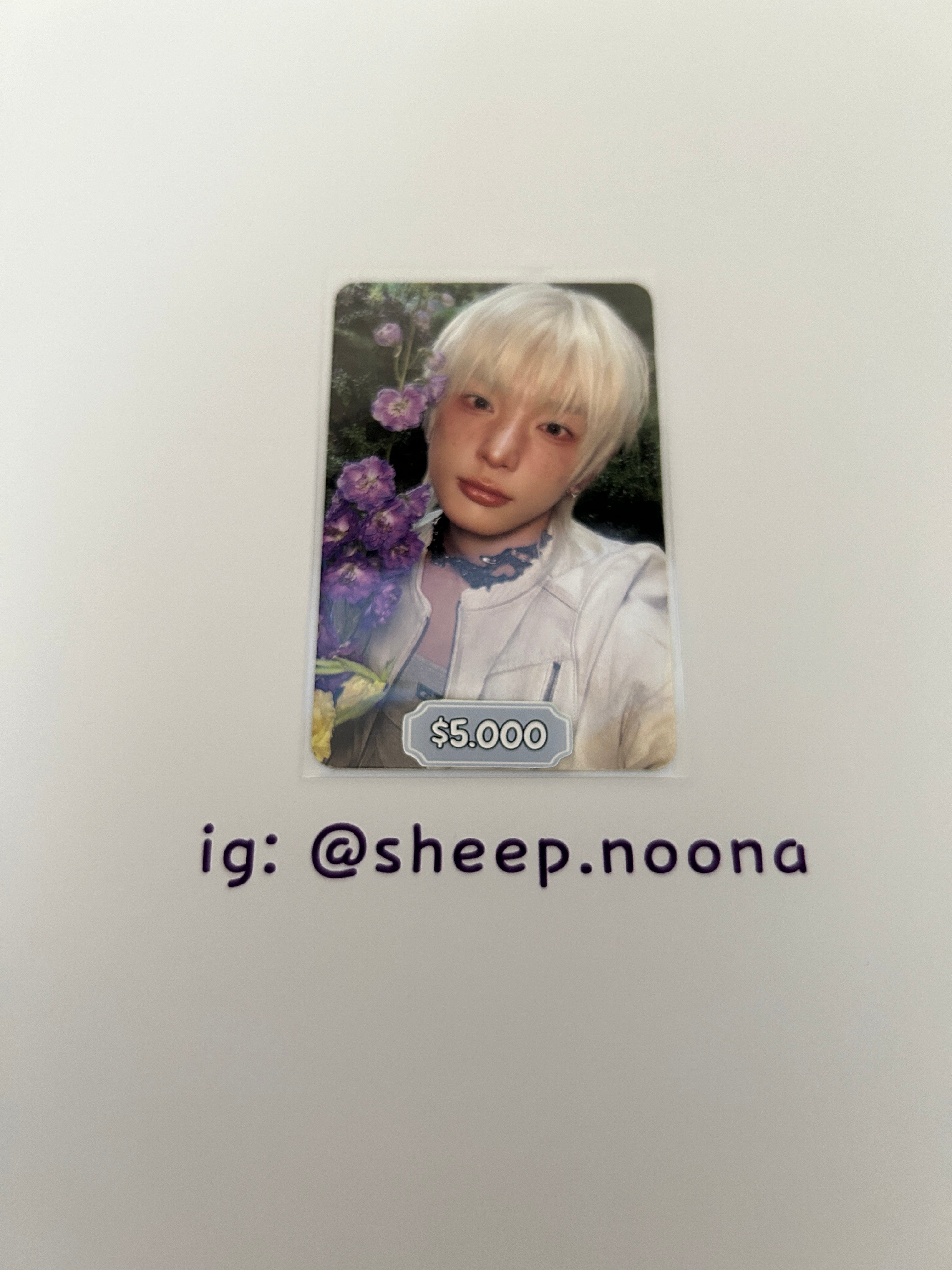 Photocards &team