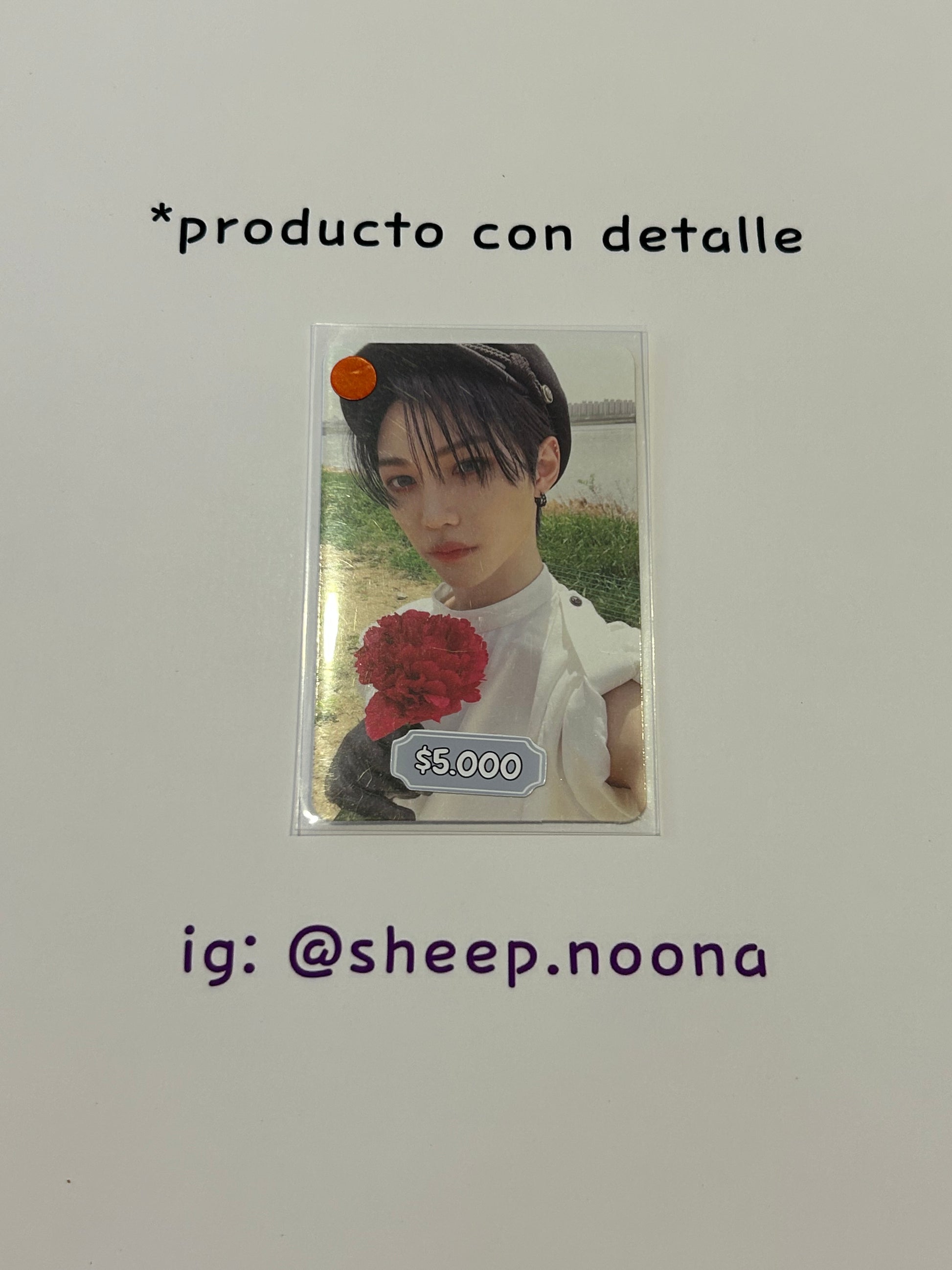Photocards Felix SKZ