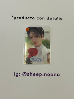 Photocards Felix SKZ