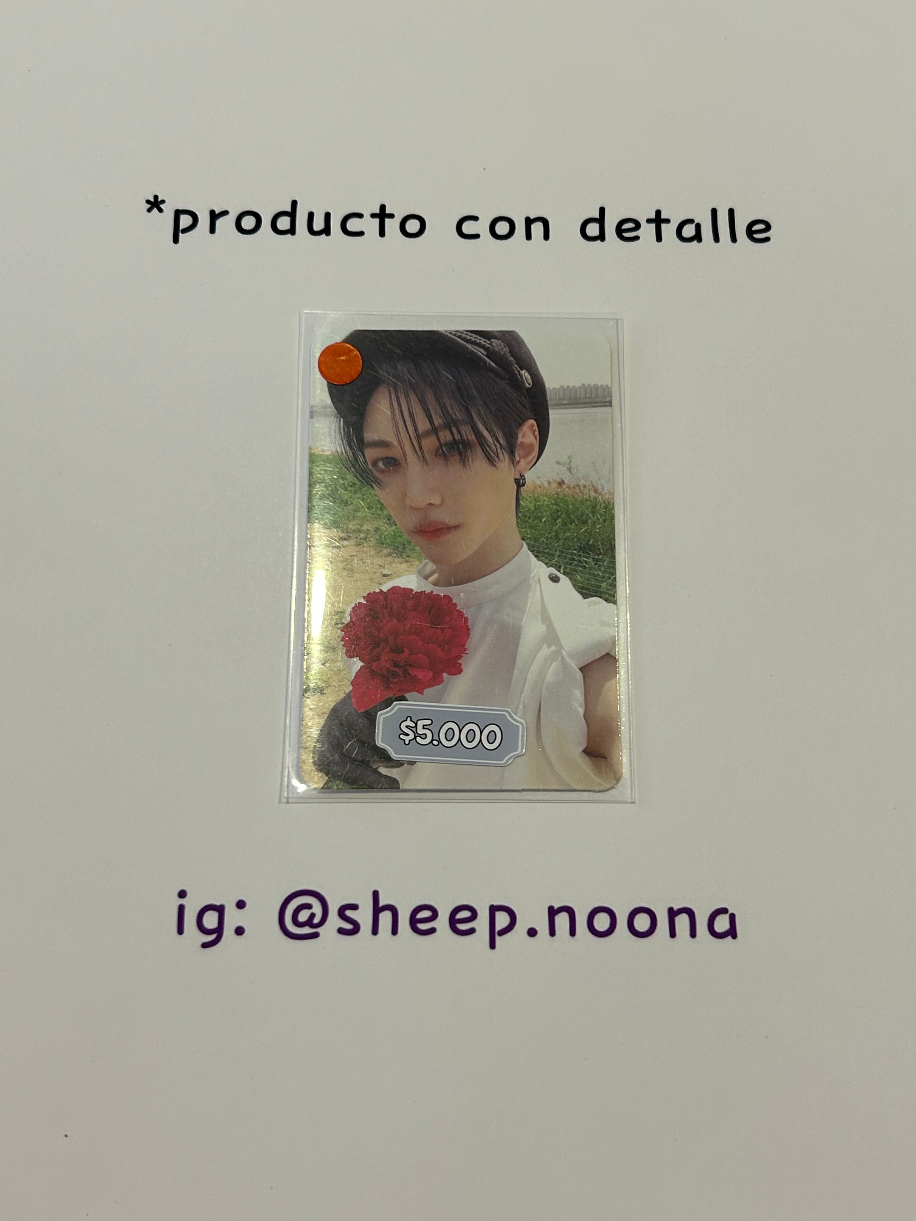 Photocards Felix SKZ