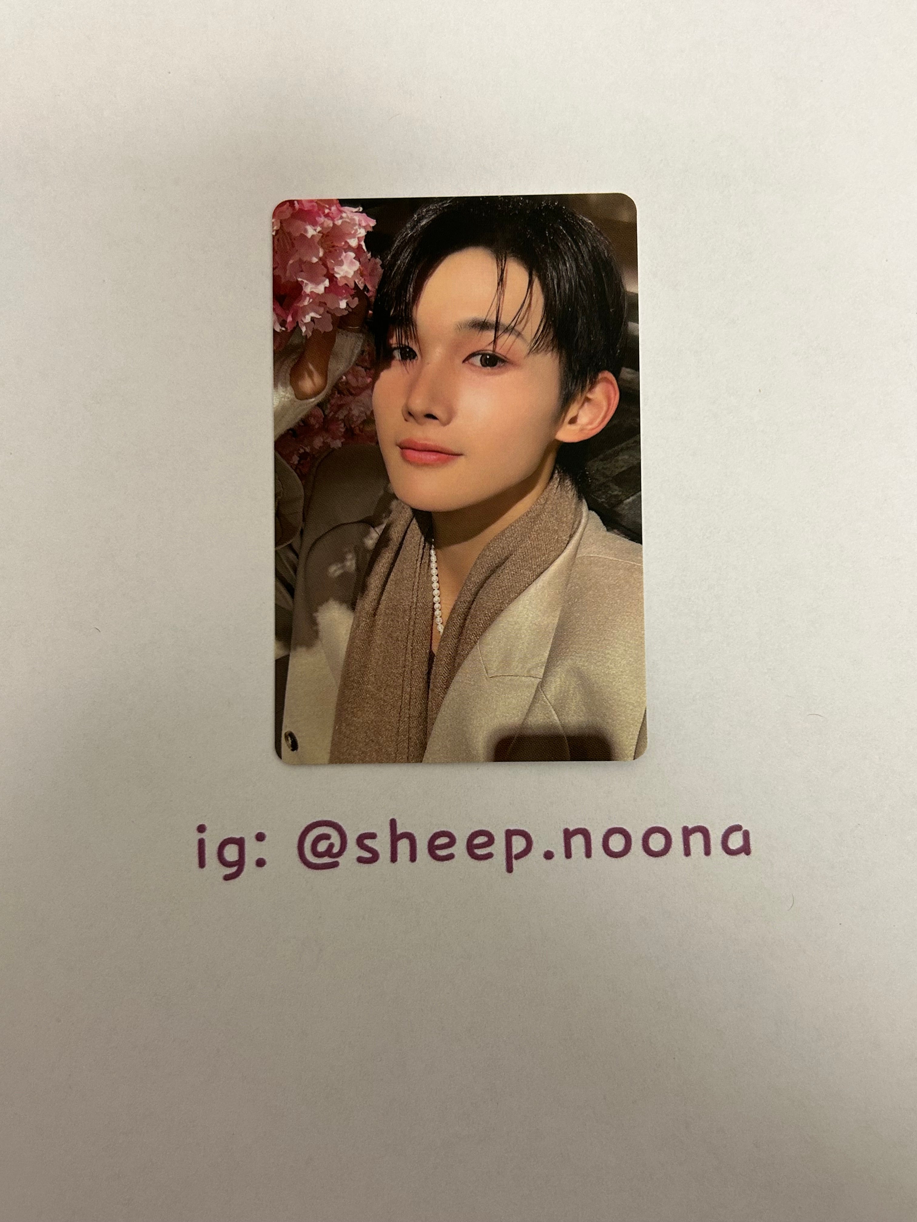 Photocards &team