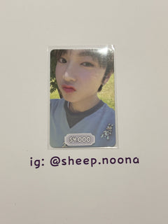 Photocards NCT WISH