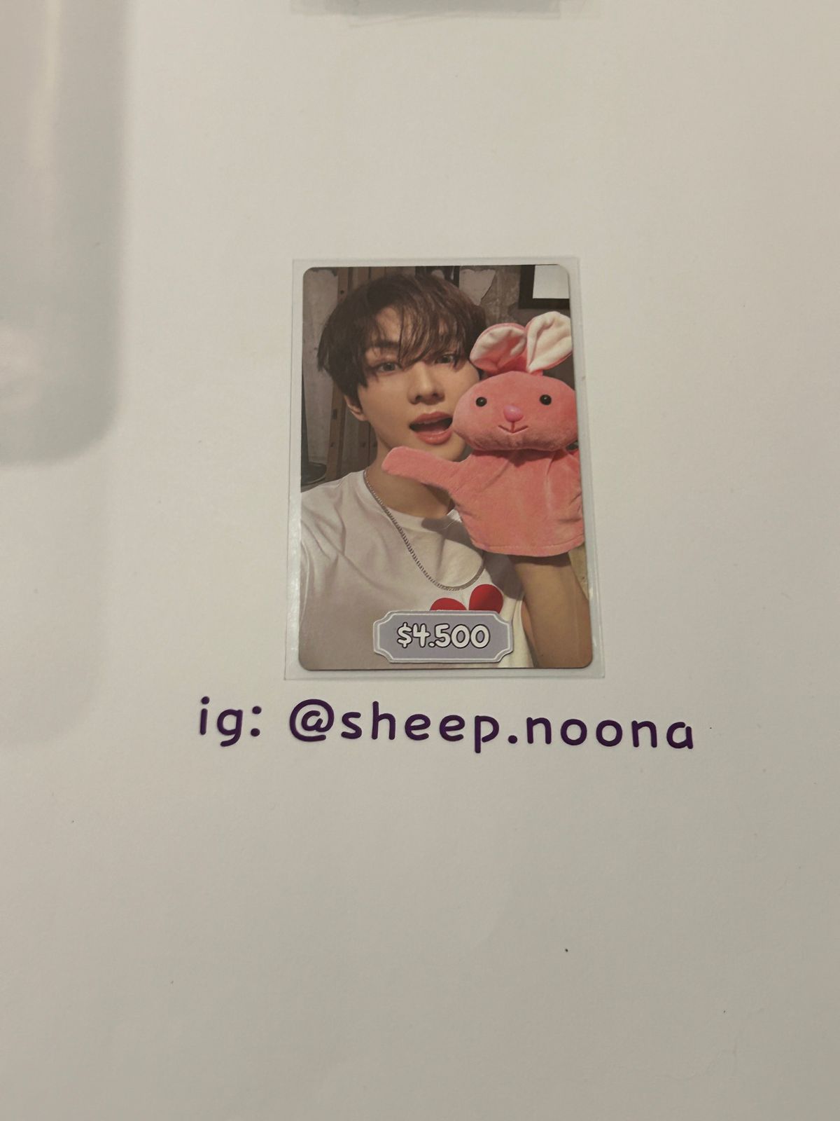 Photocards Jungwon Enhypen