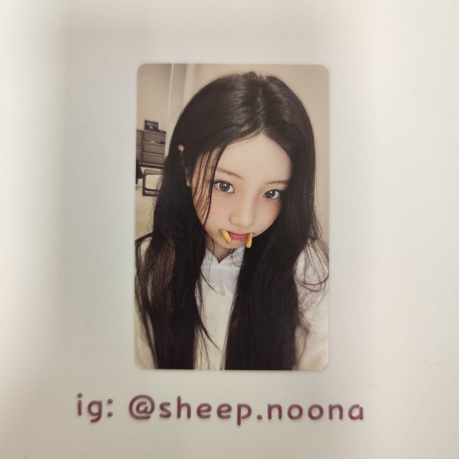 Photocards Wonhee ILLIT