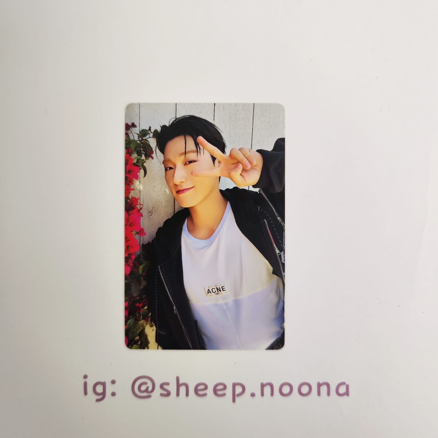 Photocards San Ateez