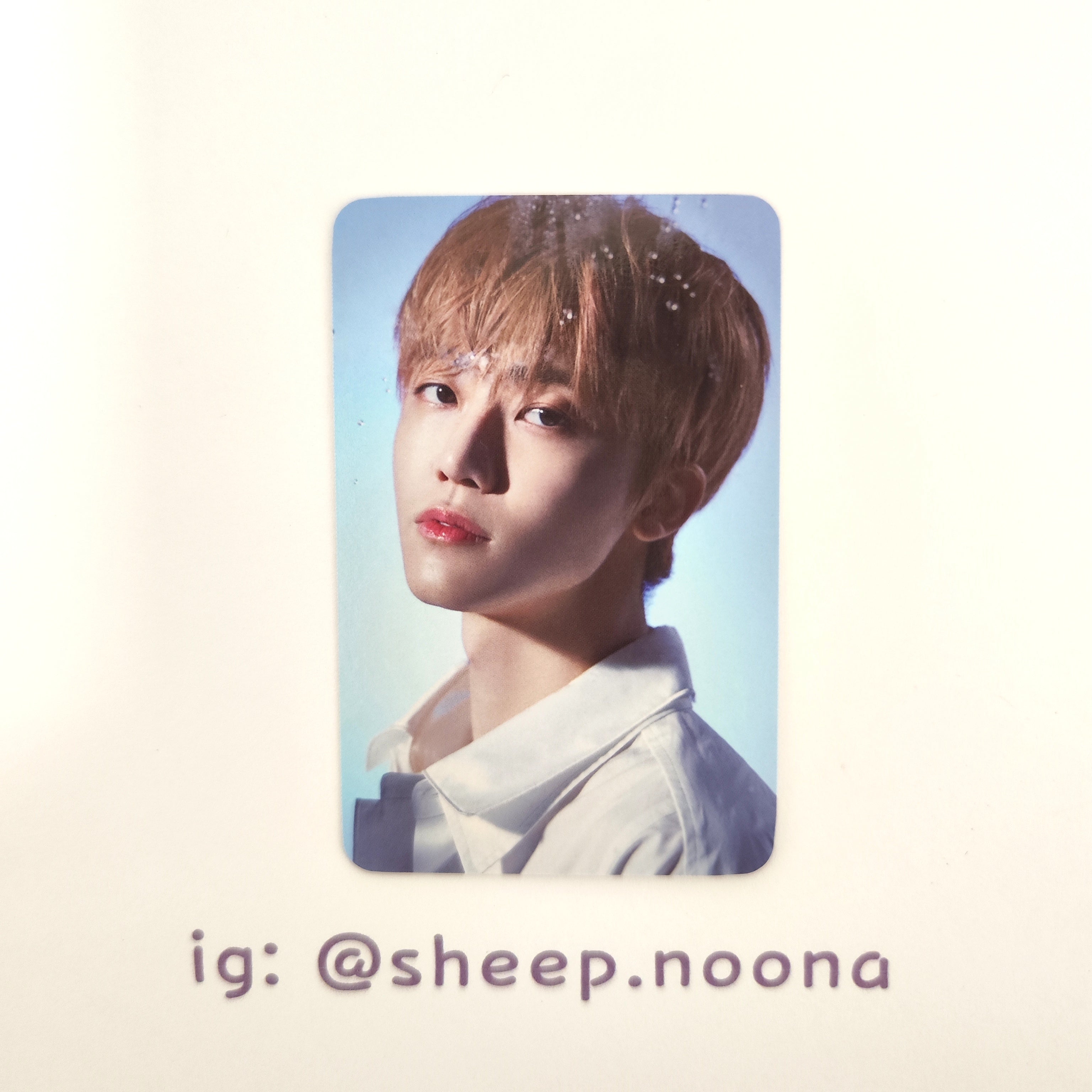 Photocards Jaemin NCT Dream