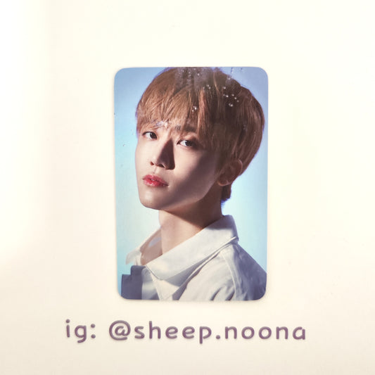 Photocards Jaemin NCT Dream