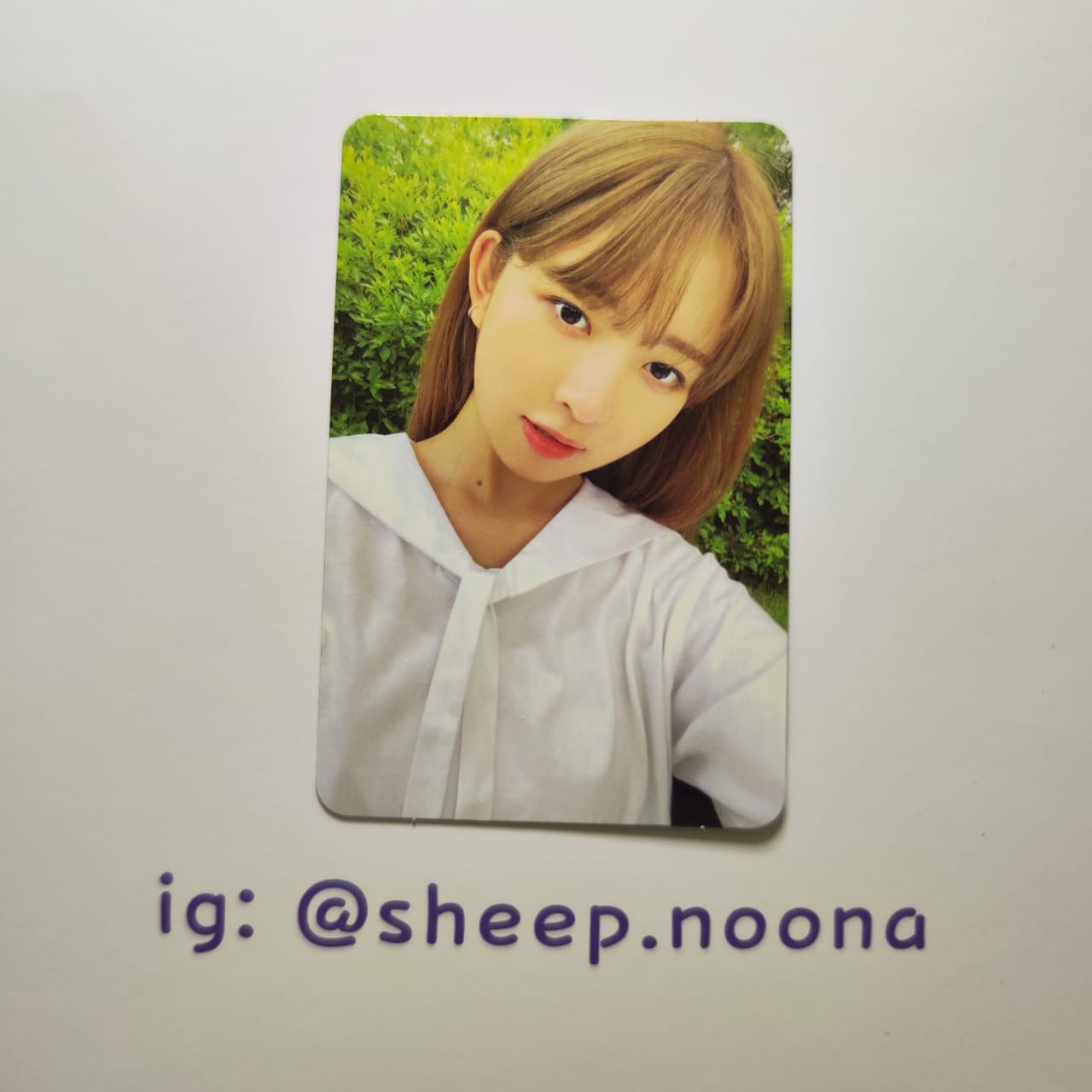 Photocards Rei Ive