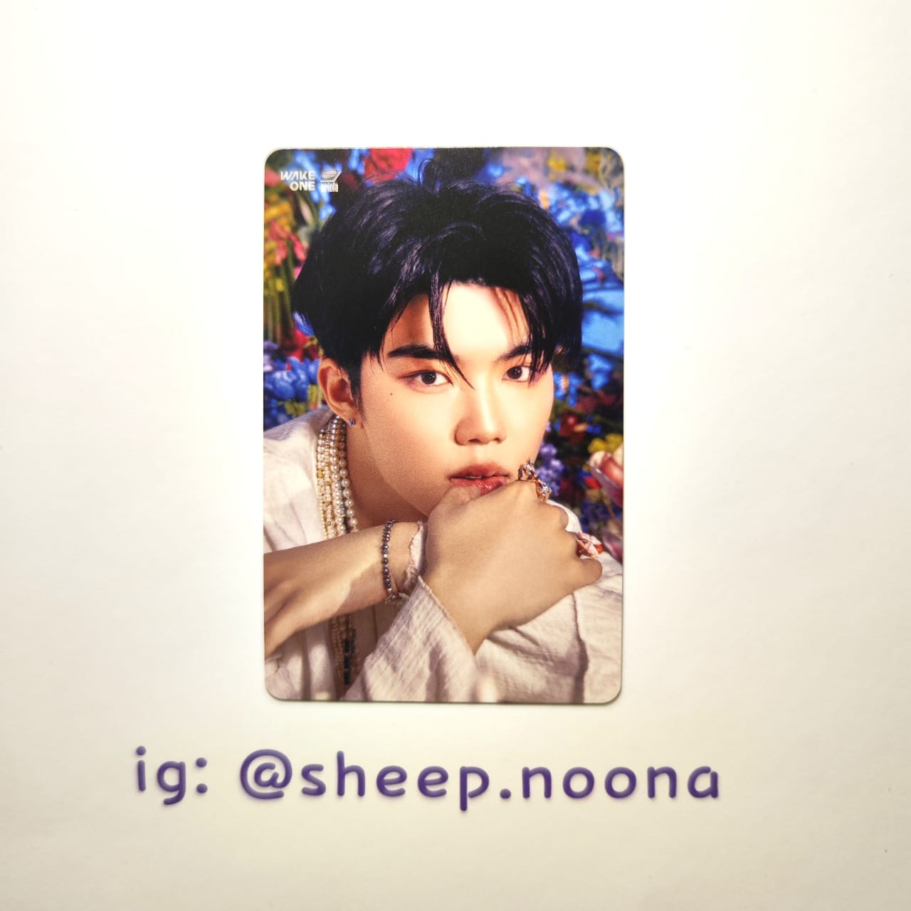 Photocards Gunwook ZB1