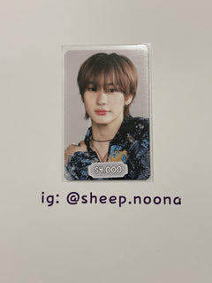 Photocards Anton Riize