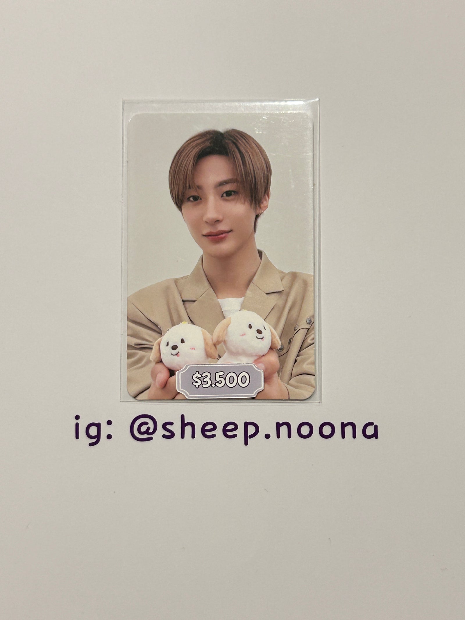Photocards Anton Riize