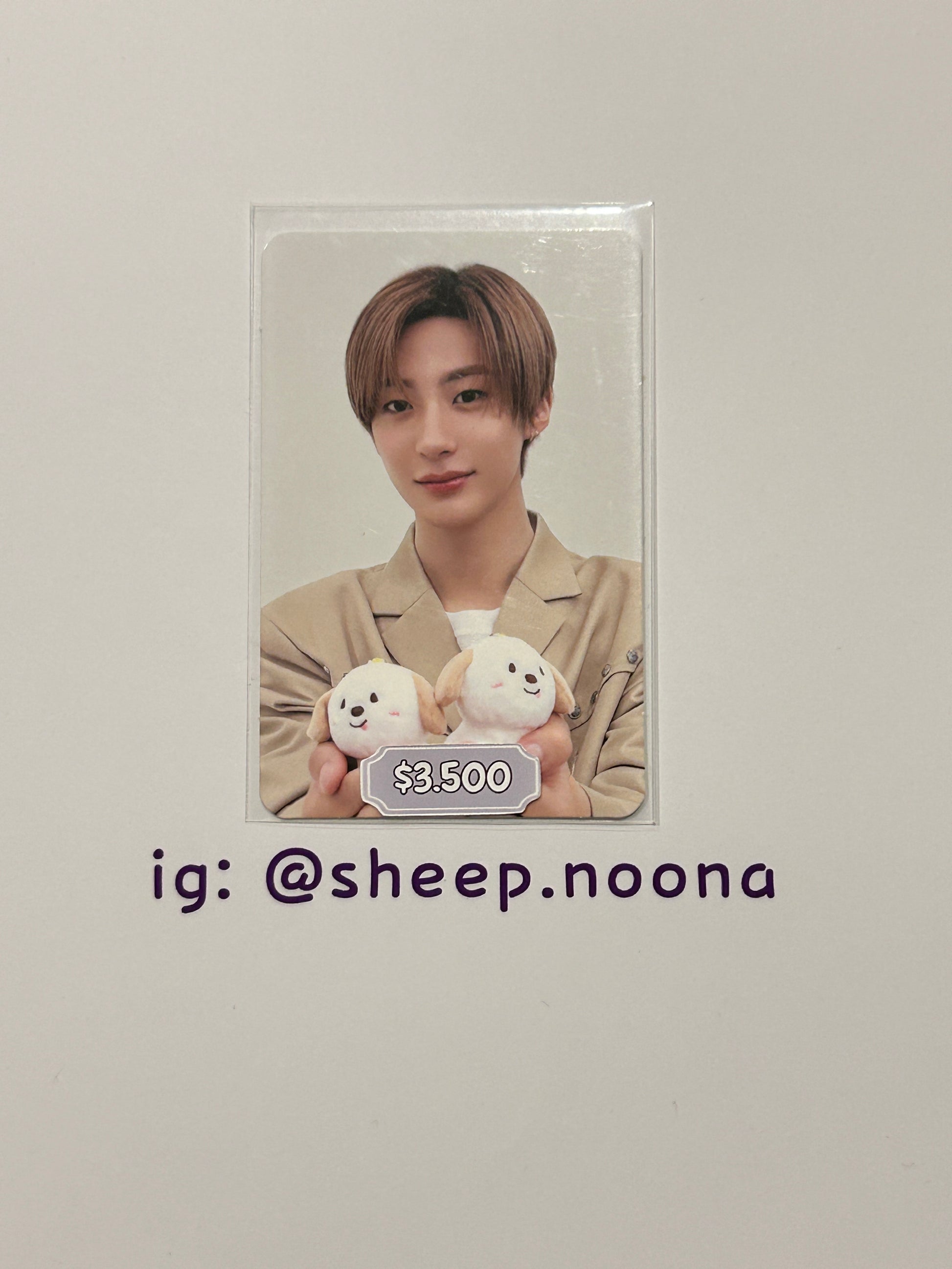 Photocards Anton Riize
