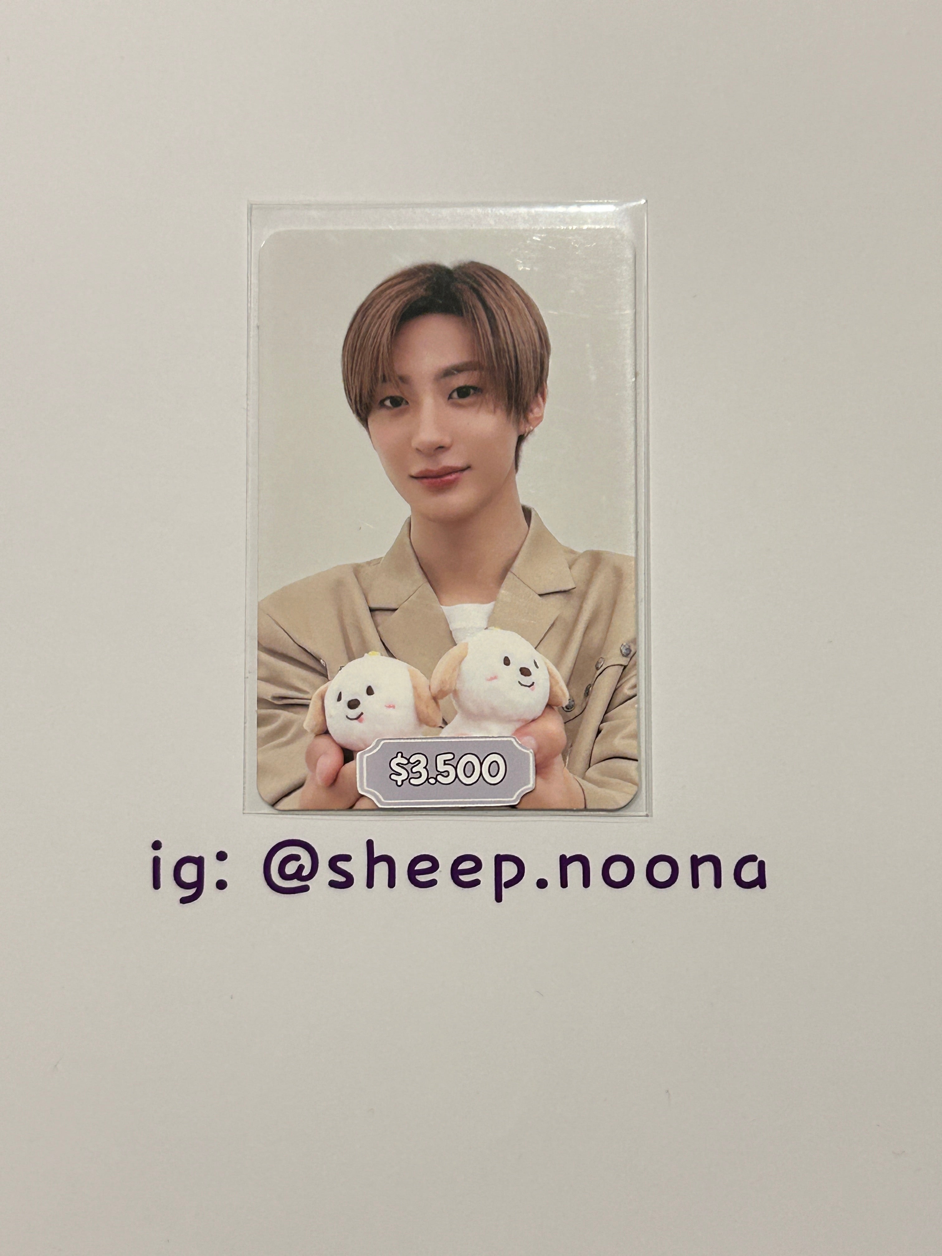 Photocards Anton Riize