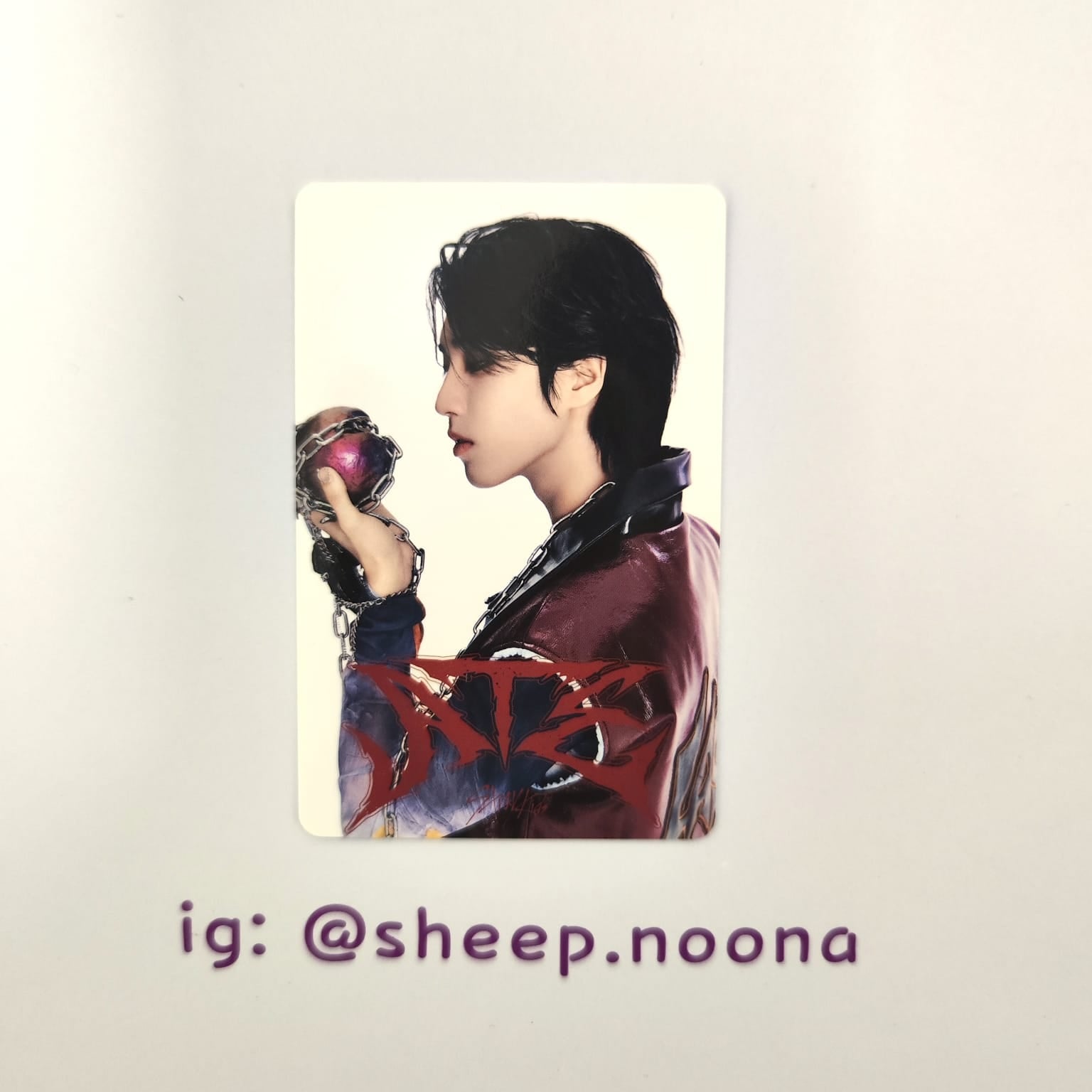 Photocards Han SKZ