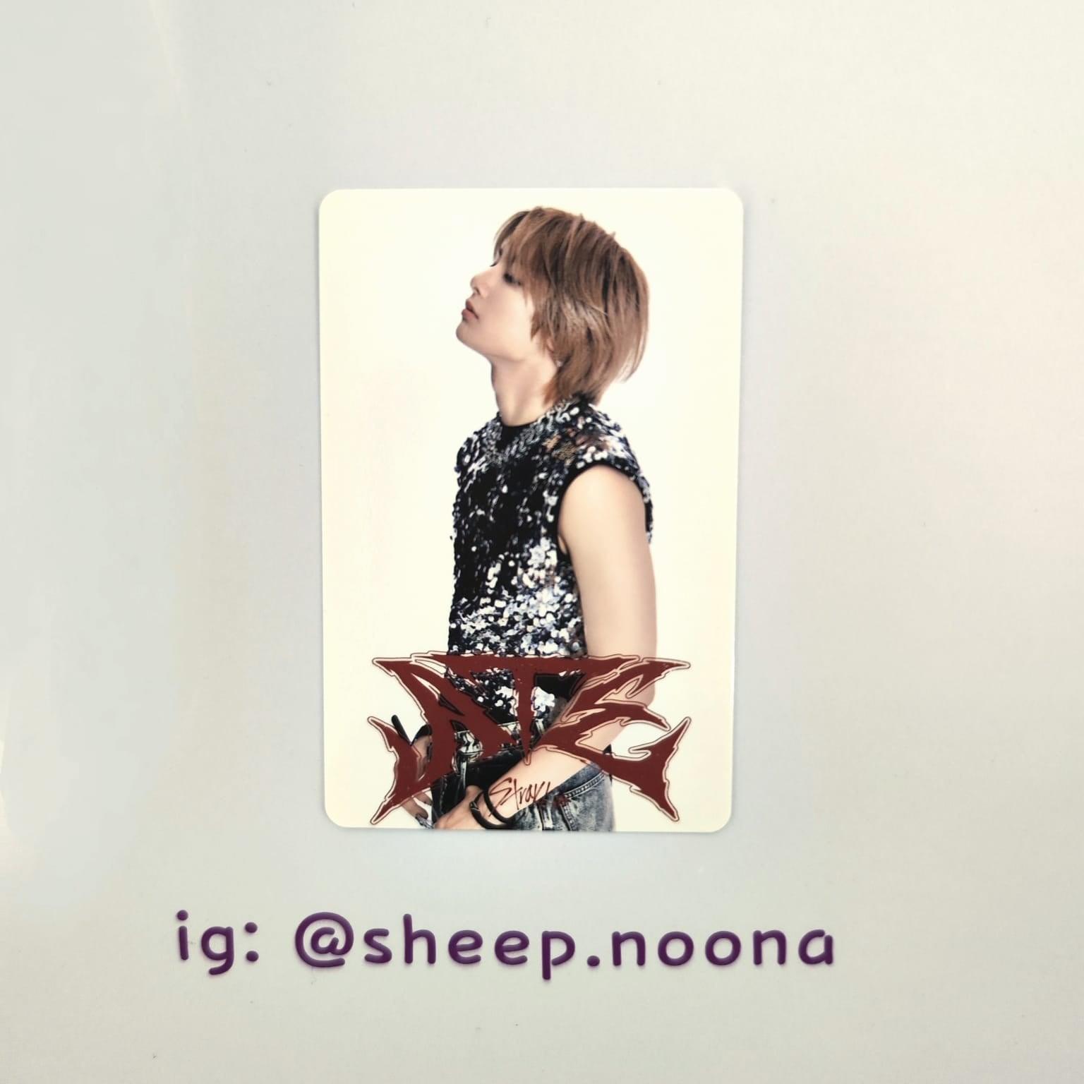Photocards I.N. SKZ