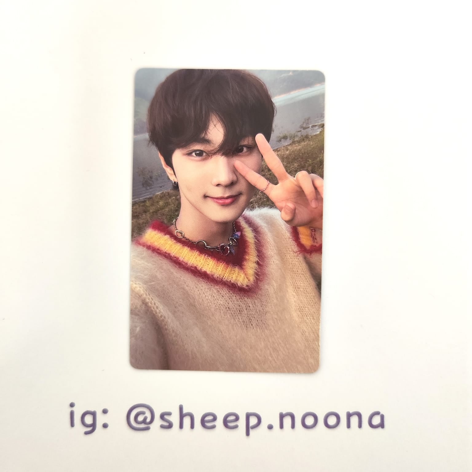 Photocards Jungwon Enhypen