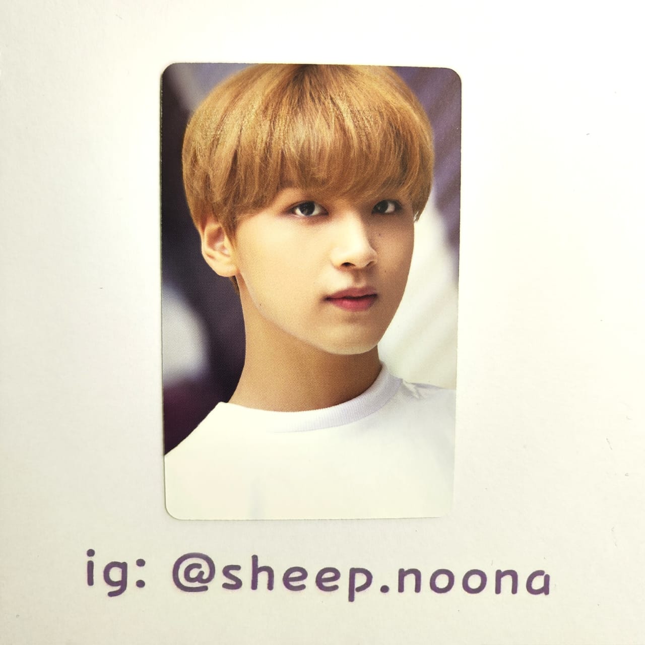 Photocards Haechan NCT 127 / NCT DREAM