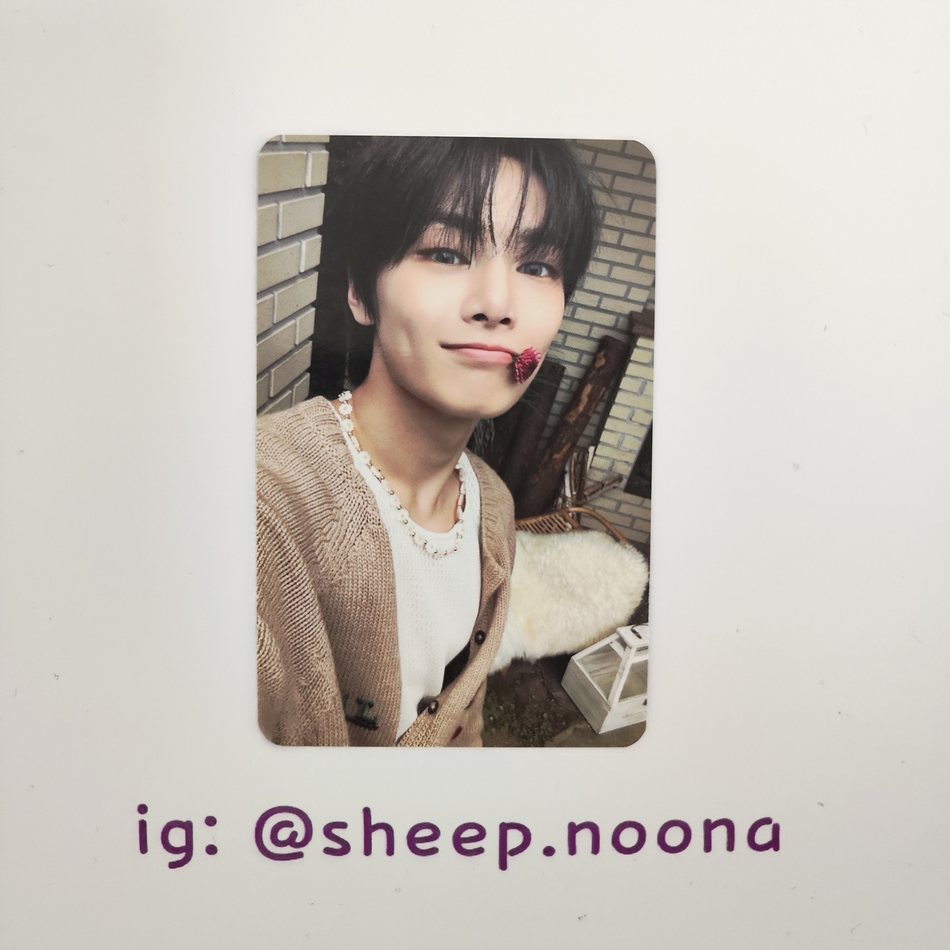 Photocards I.N. SKZ