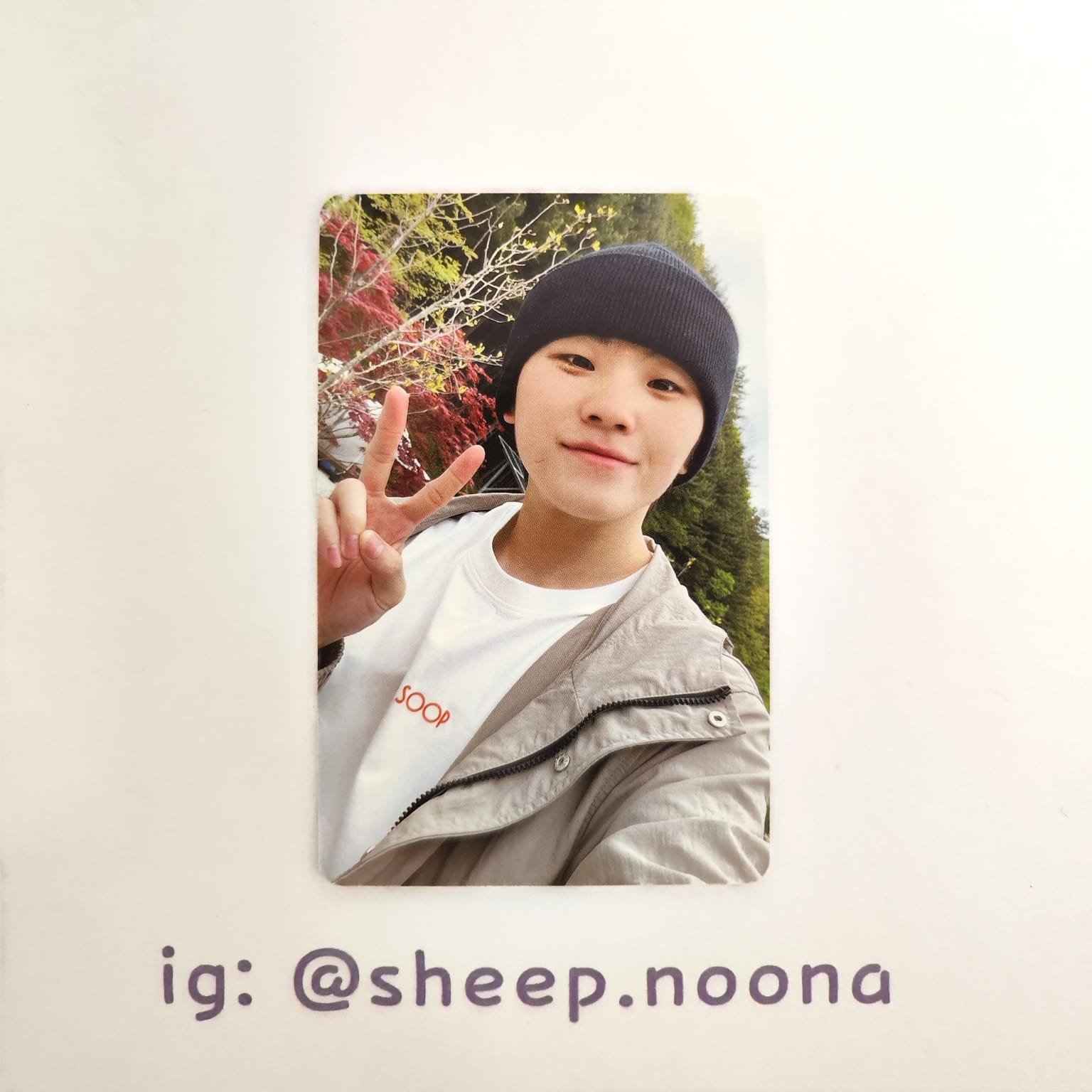 Photocards Woozi Seventeen
