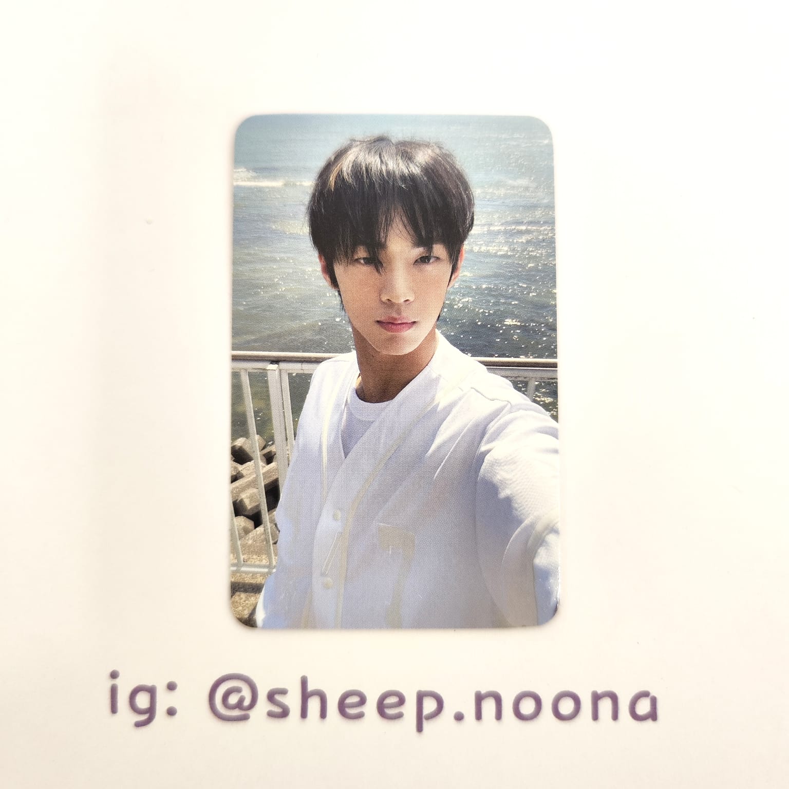 Photocards Dohoon TWS