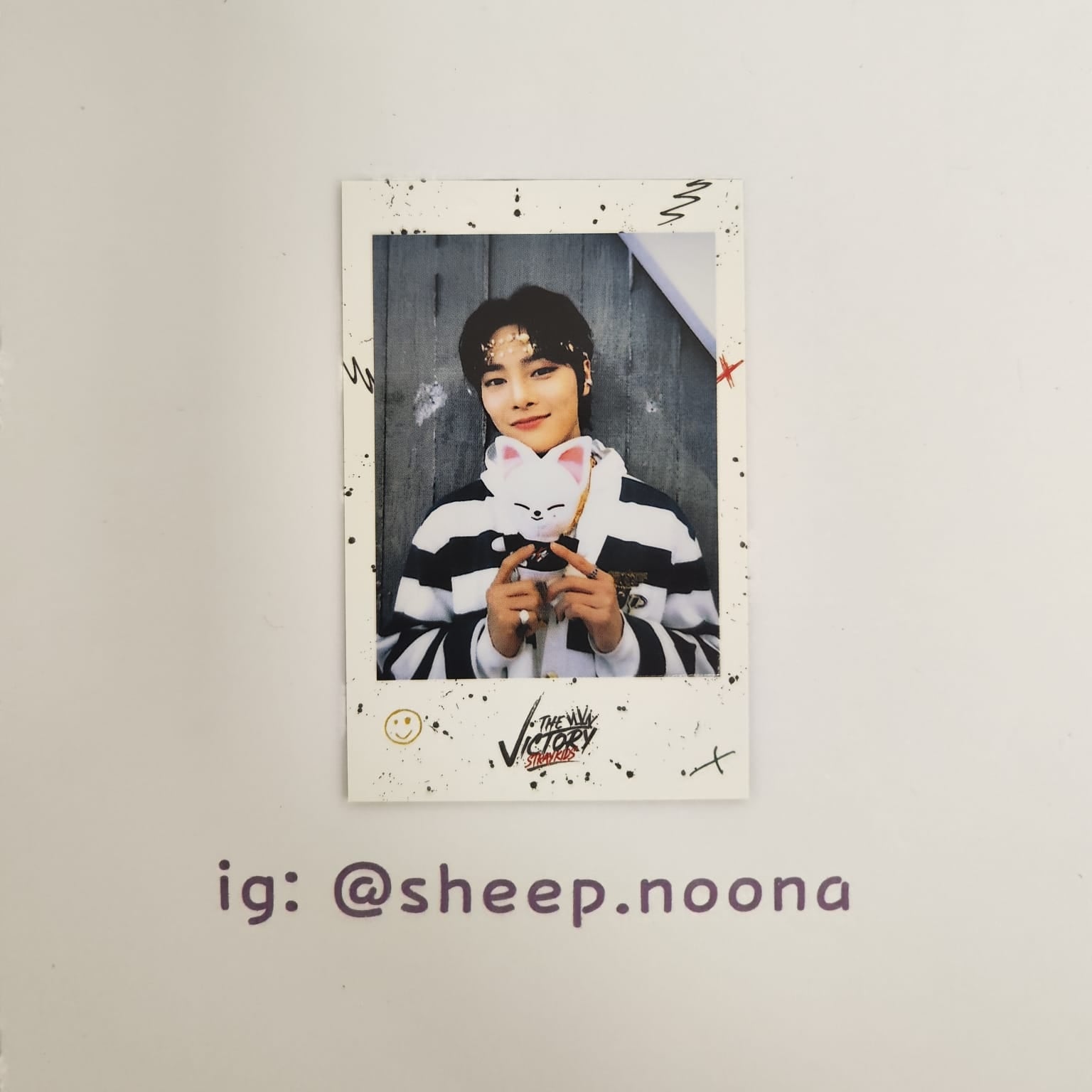 Photocards I.N. SKZ