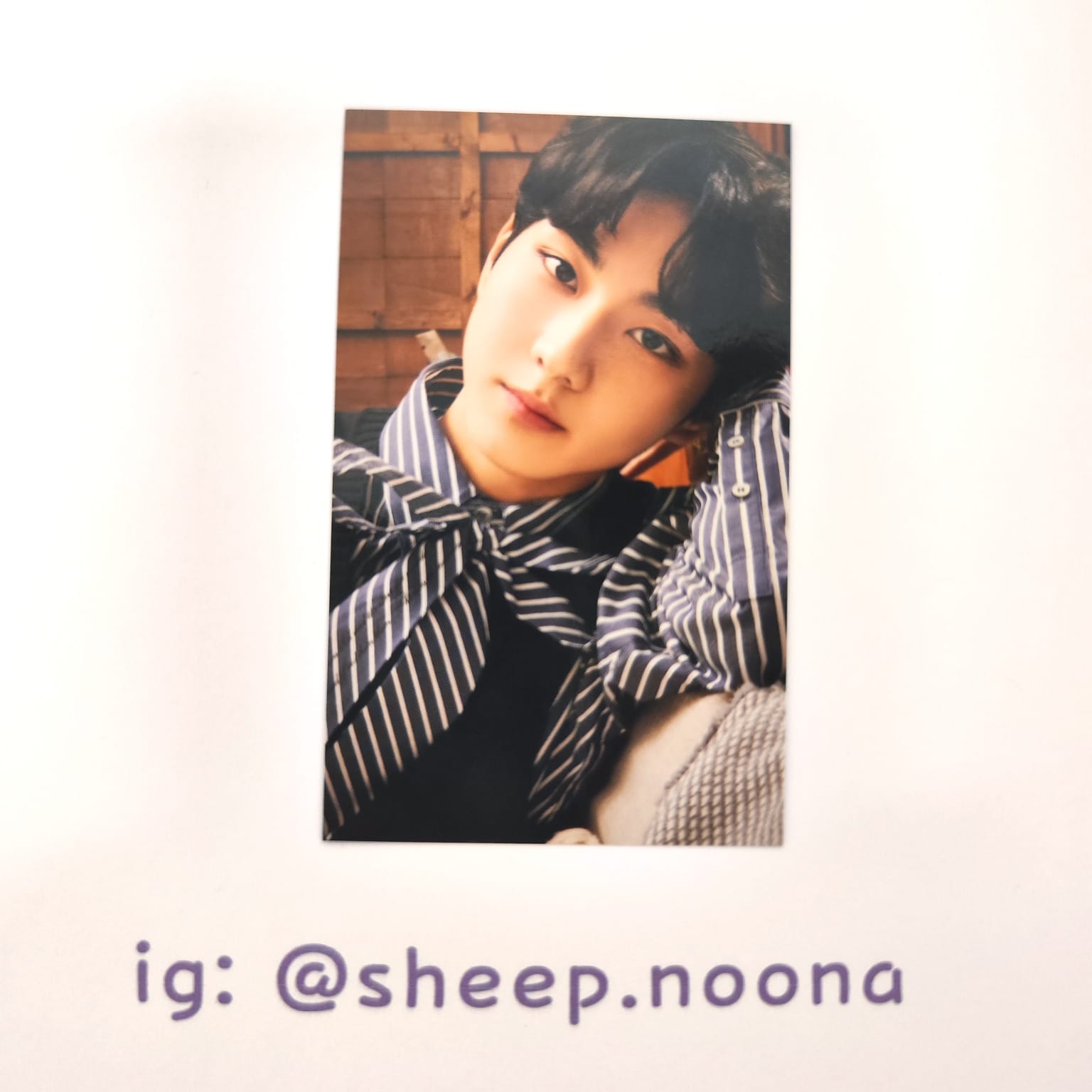 Photocards Jungwon Enhypen