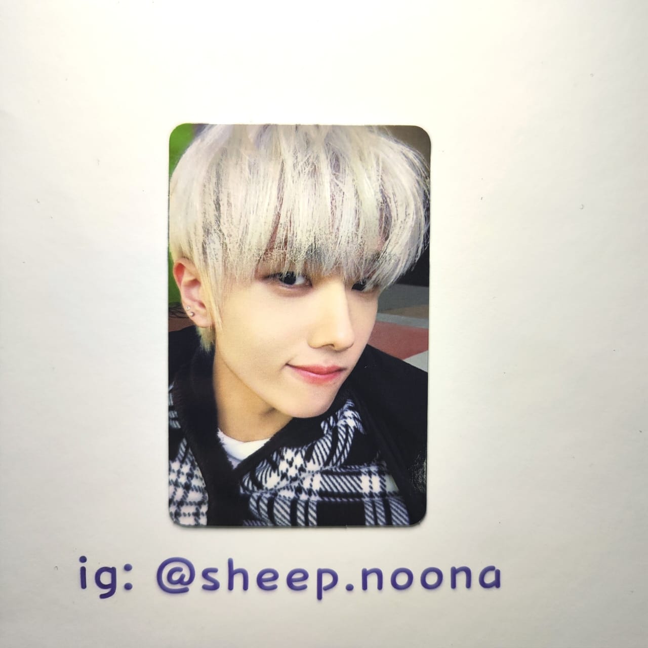 Photocards Jisung NCT Dream