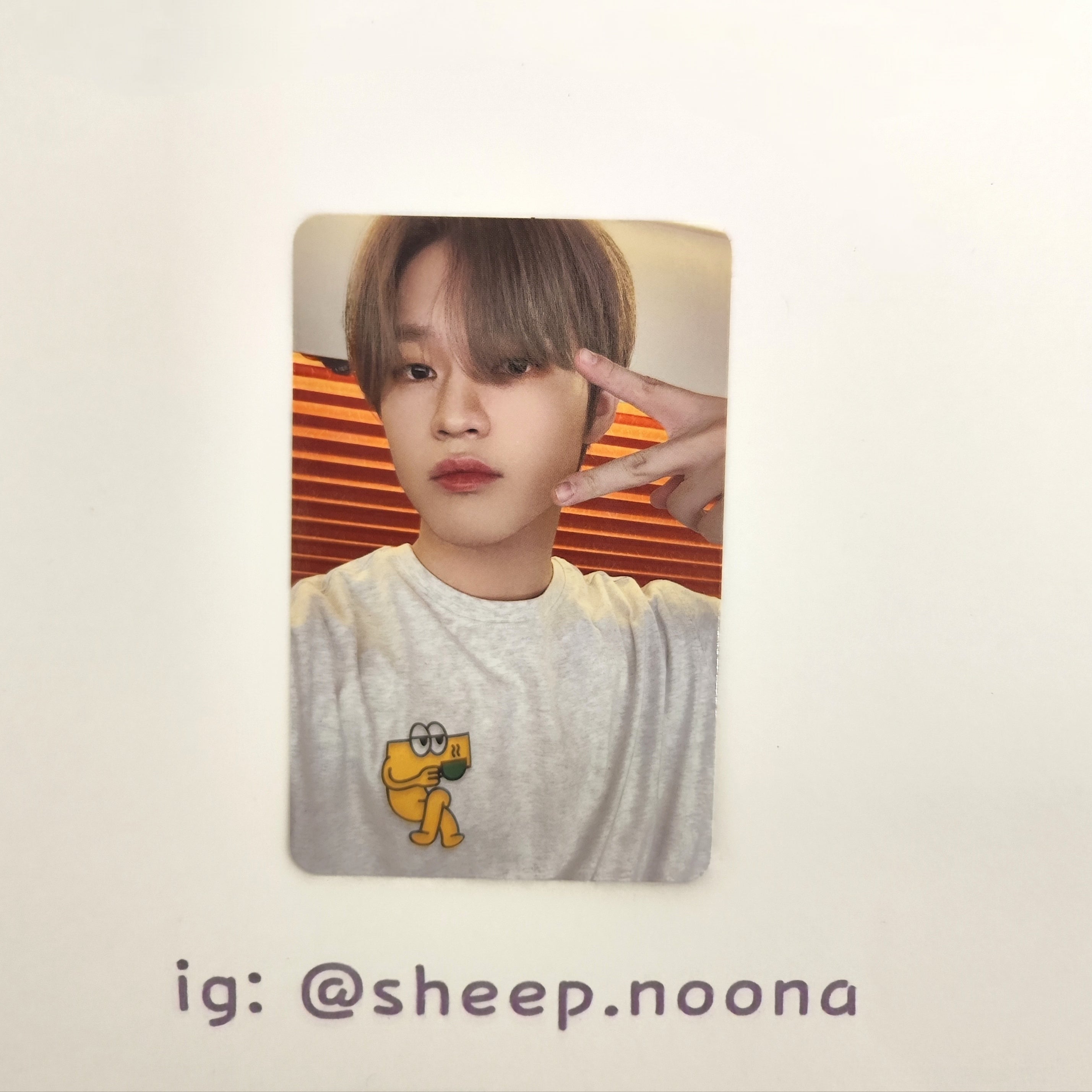 Photocards Chenle NCT Dream