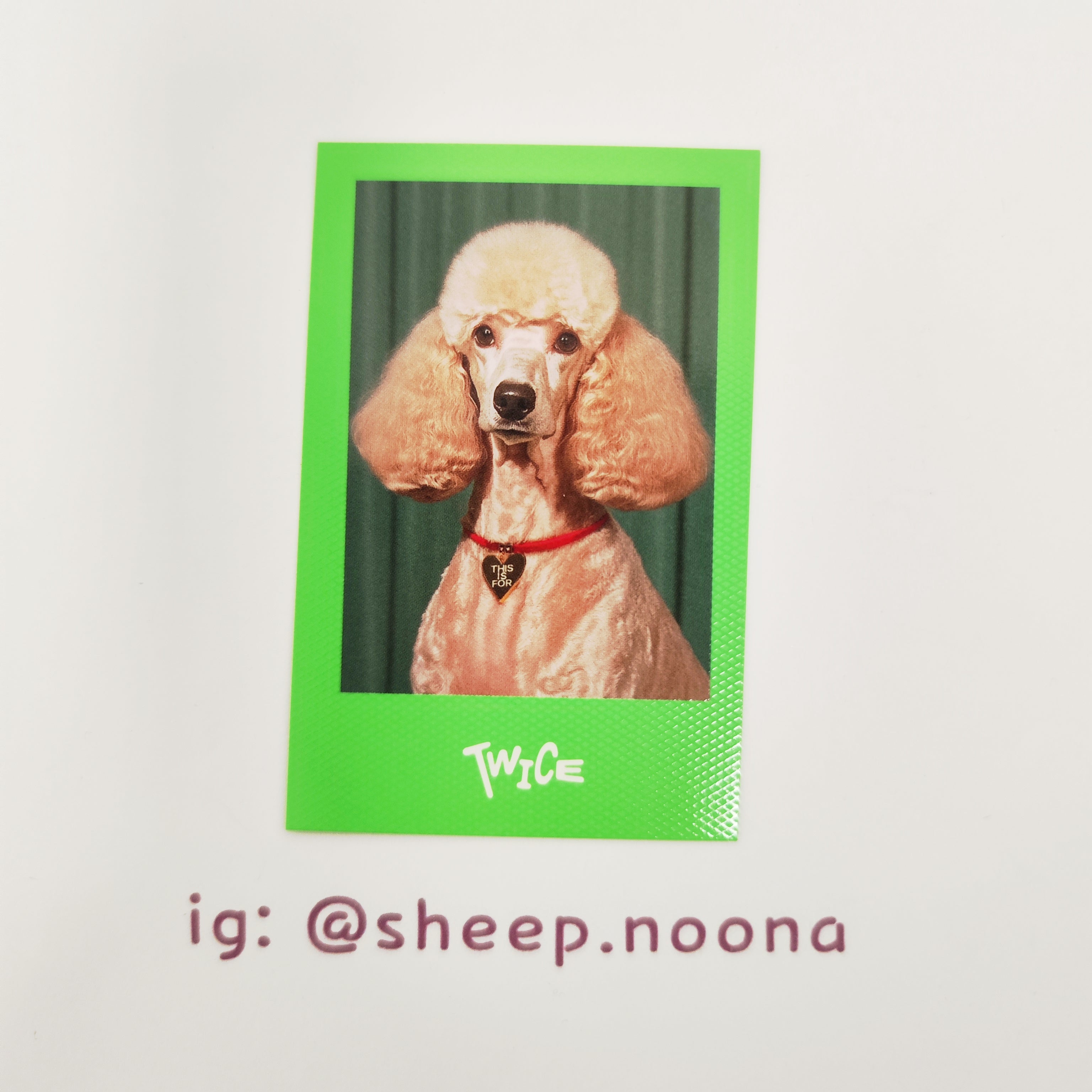 Photocards Units / Grupales Twice