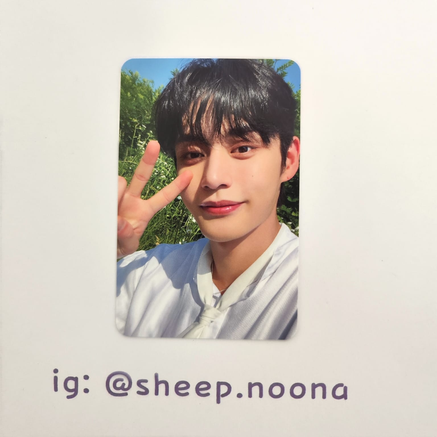 Photocards Jiwoong ZB1
