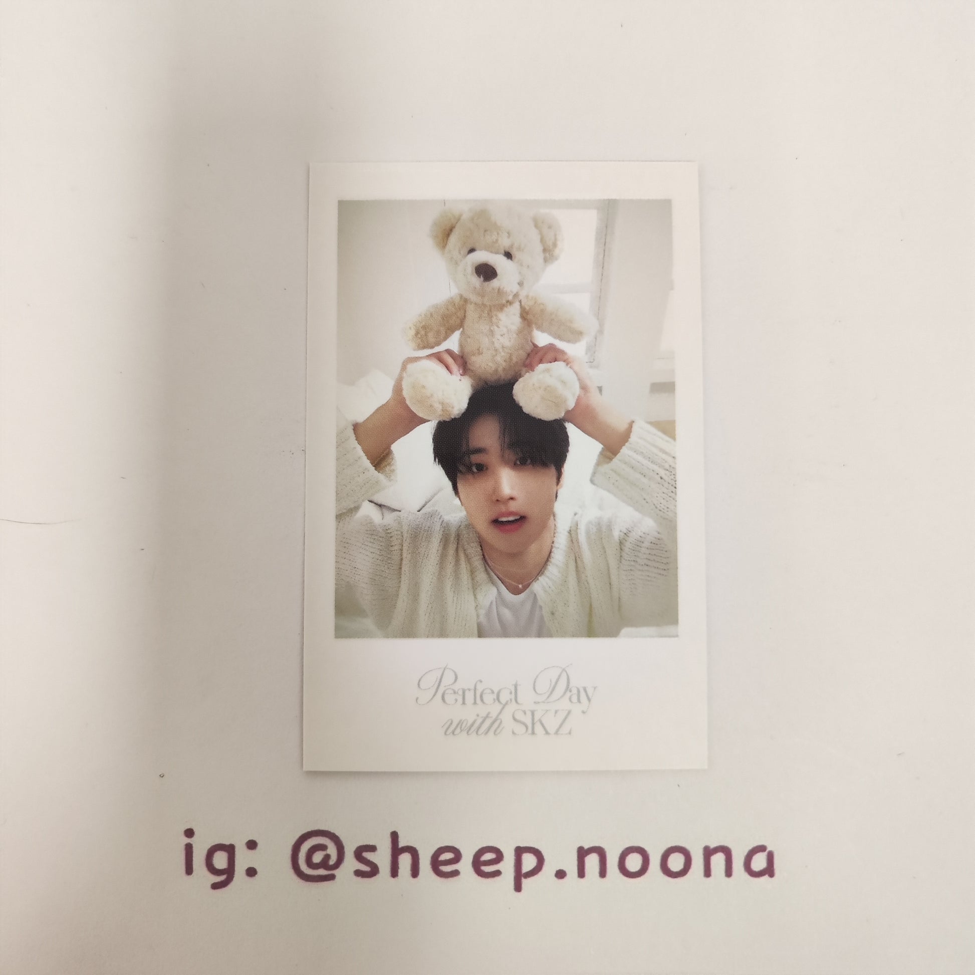 Photocards Han SKZ