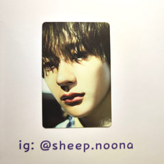 Photocards Anton Riize