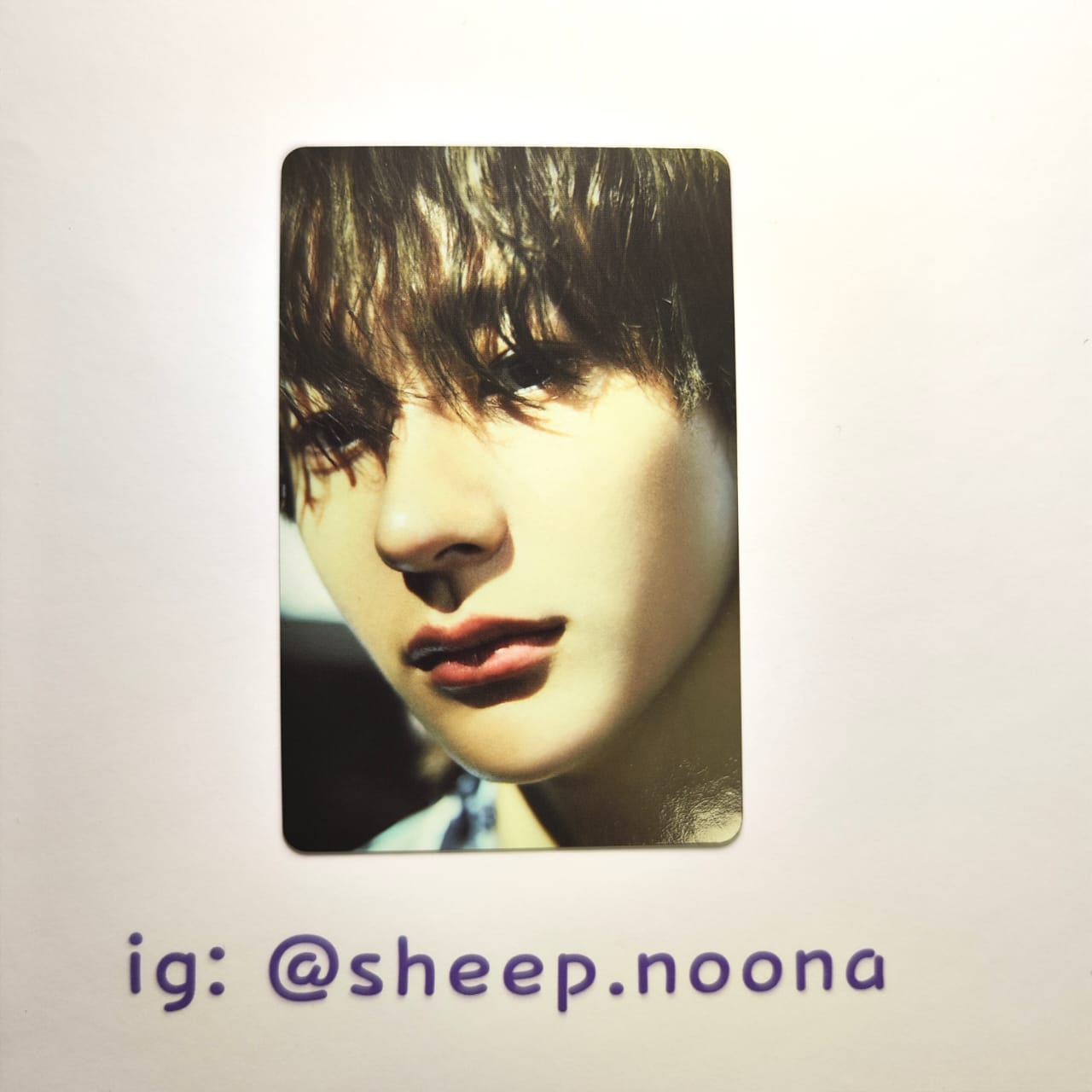 Photocards Anton Riize