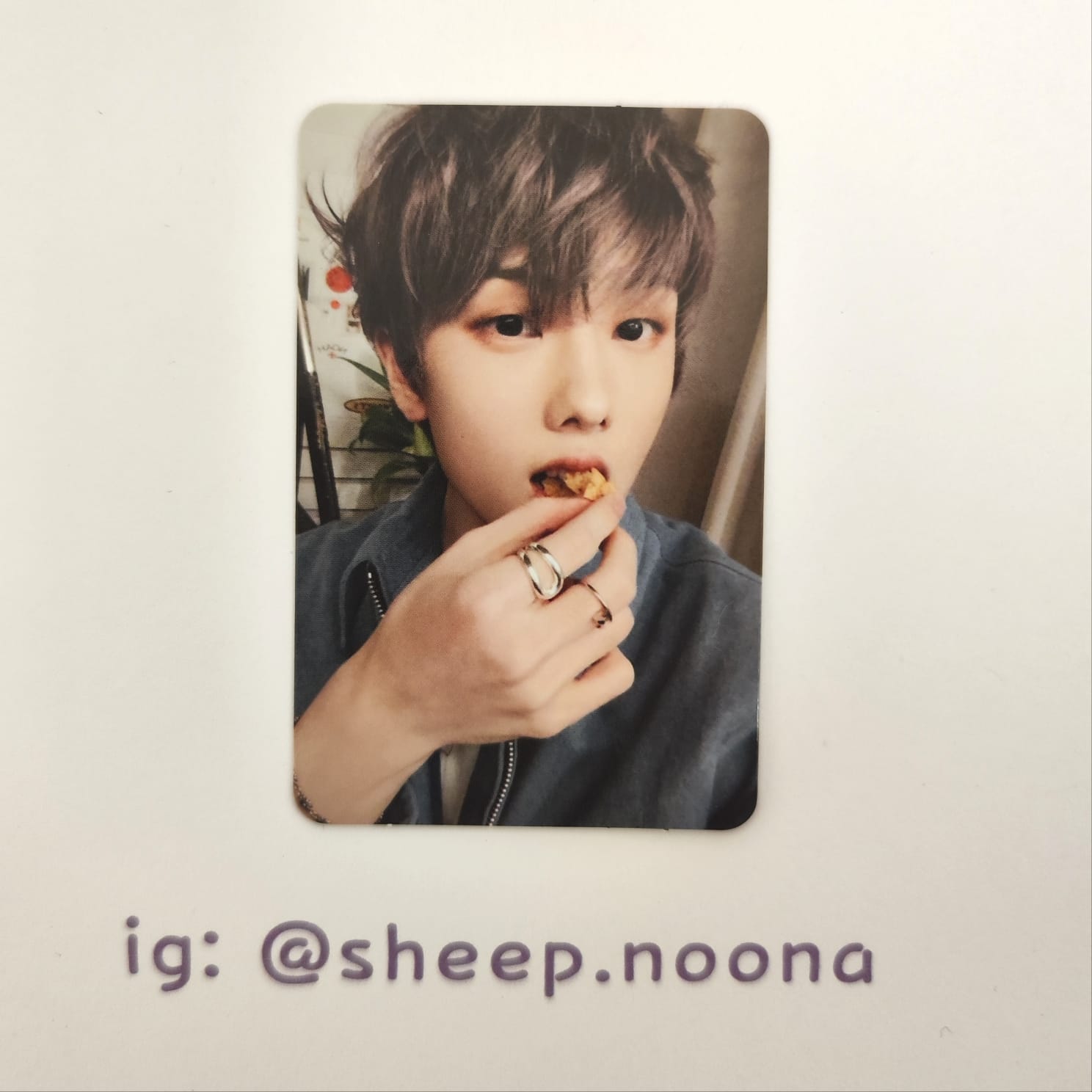 Photocards Jisung NCT Dream