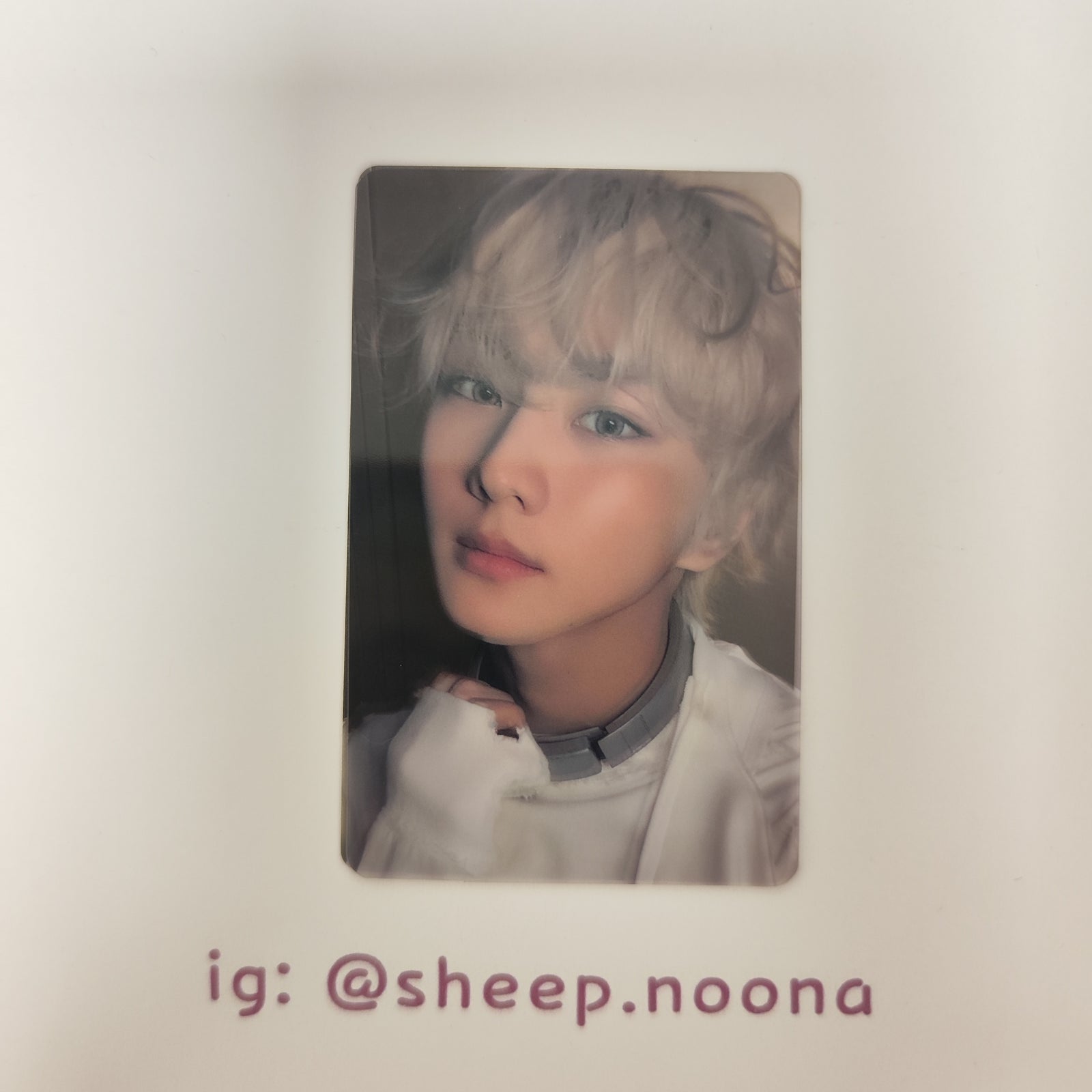Photocards Jungwon Enhypen