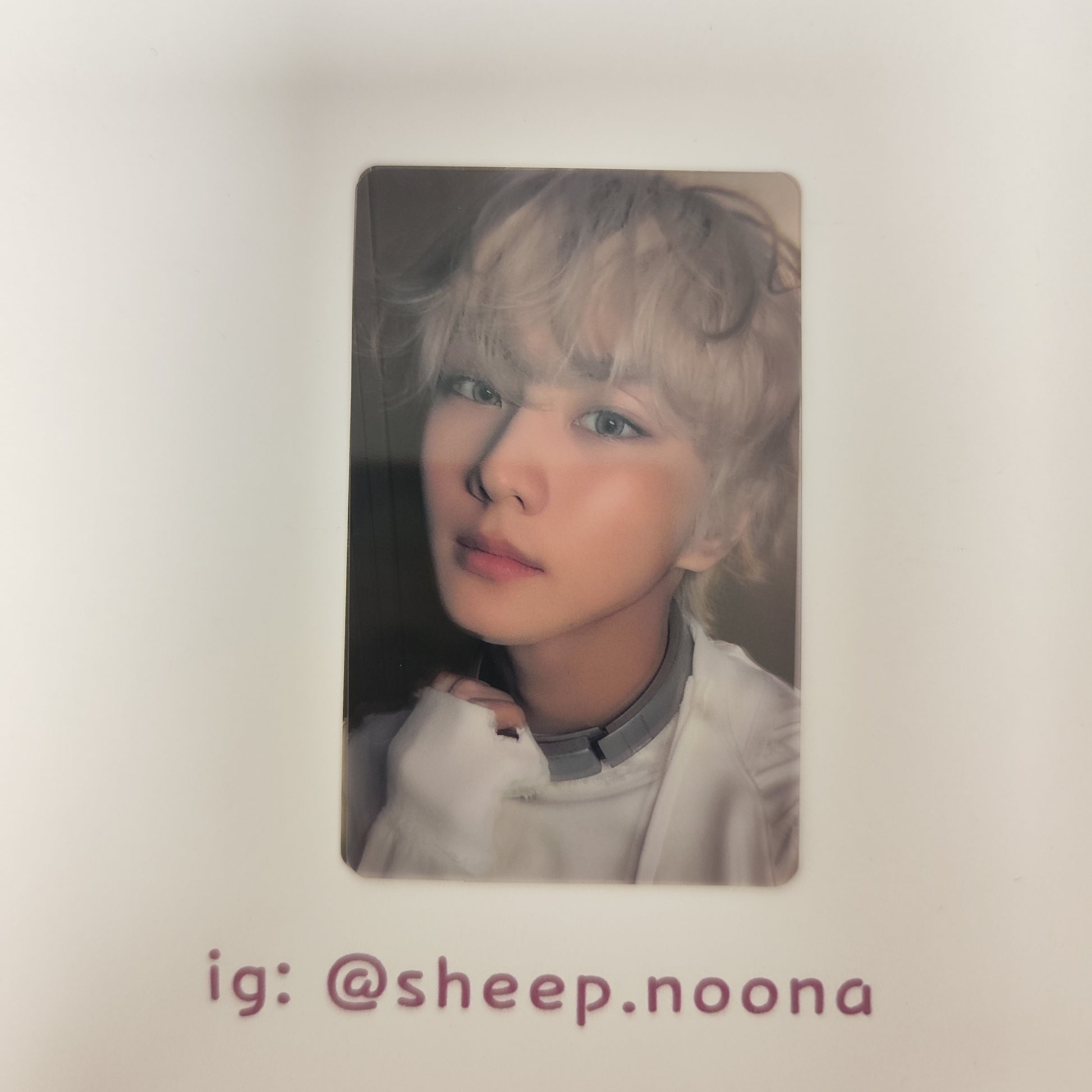 Photocards Jungwon Enhypen